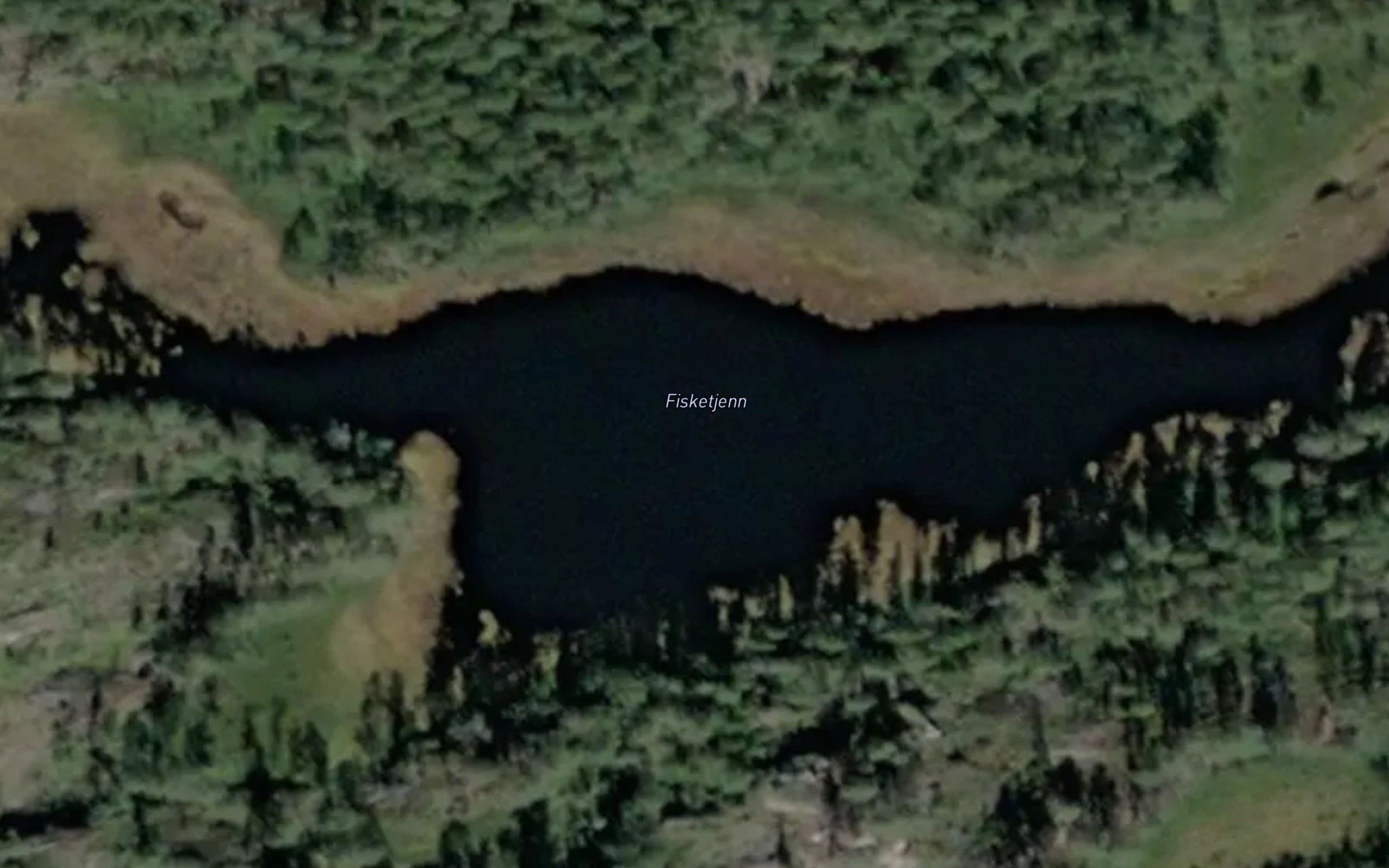 Fisketjern