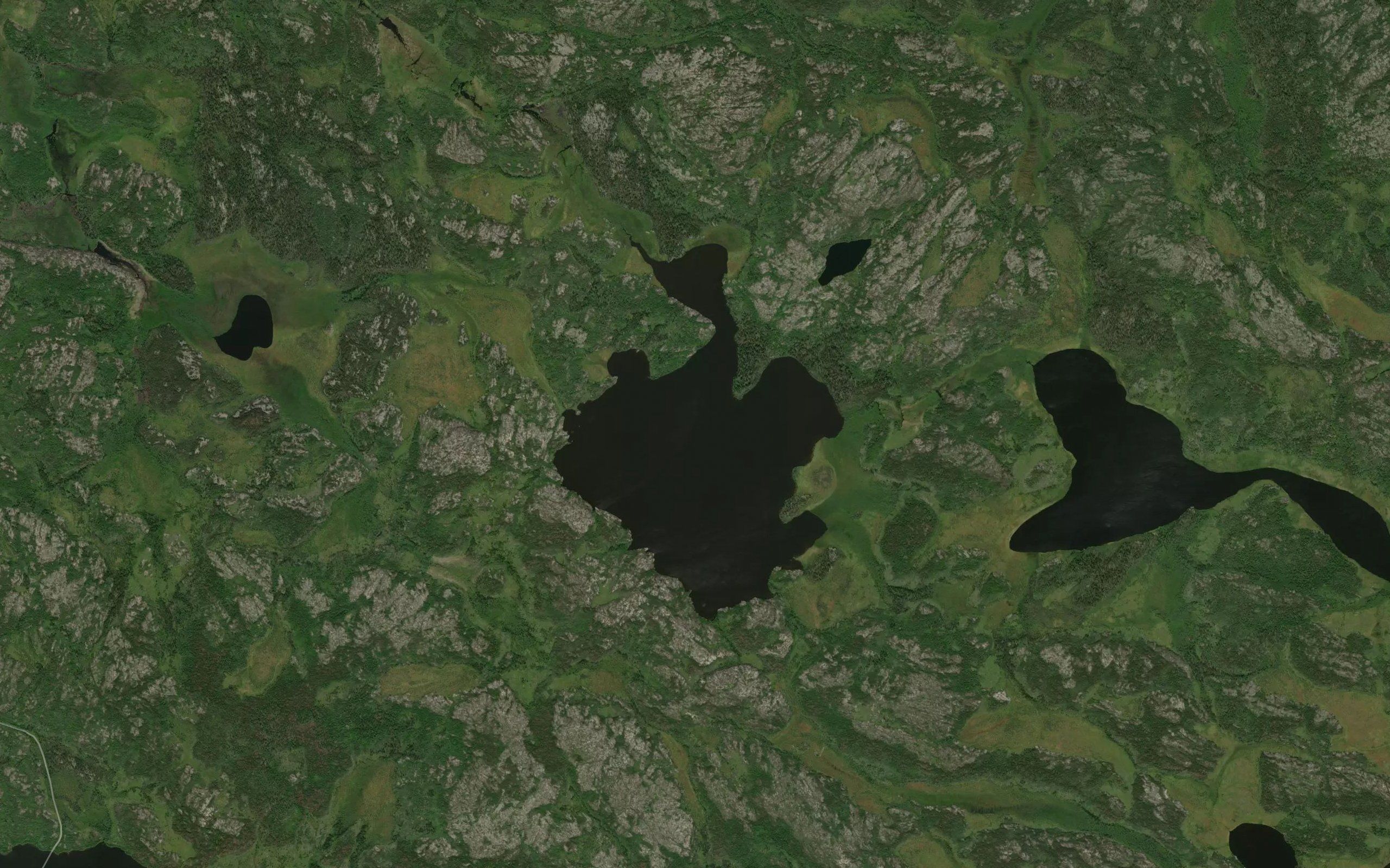 Edward Smith Lake