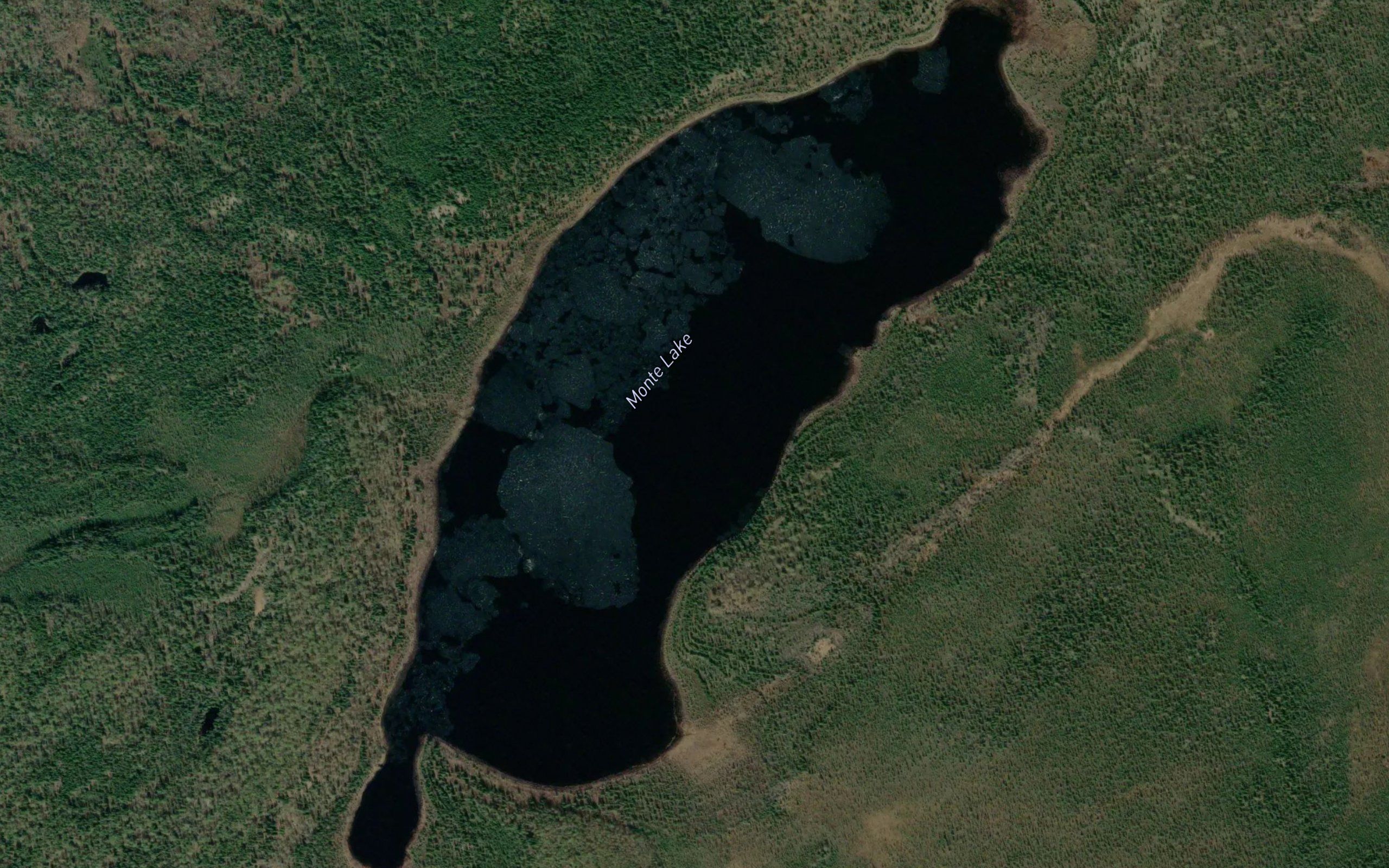 Monte Lake