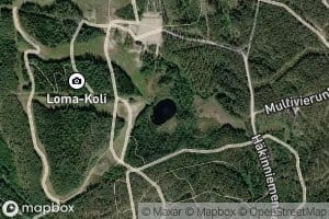 Heinalampi