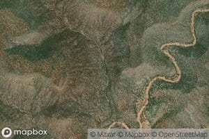 Wild Bull Spring