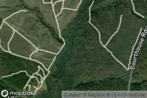 Piney Branch