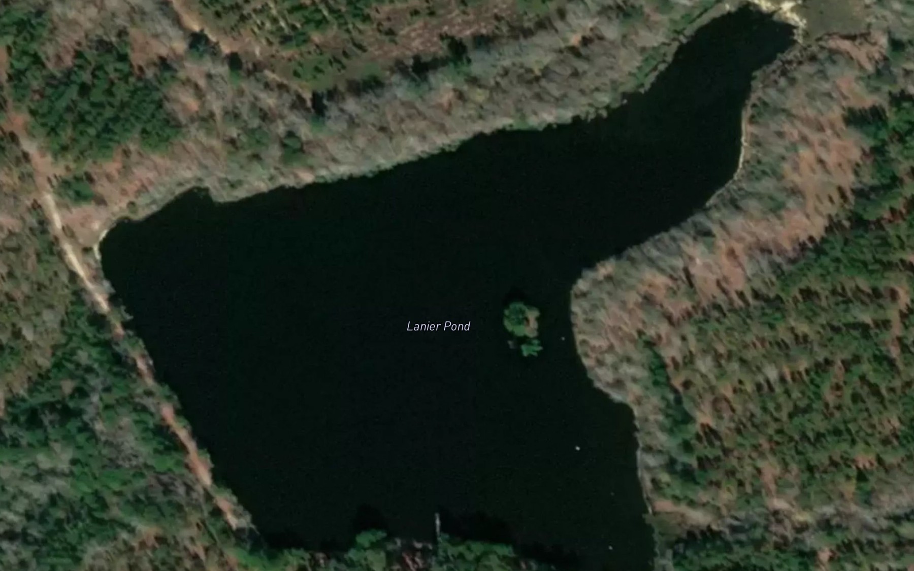 Satellite map of the Lanier Pond