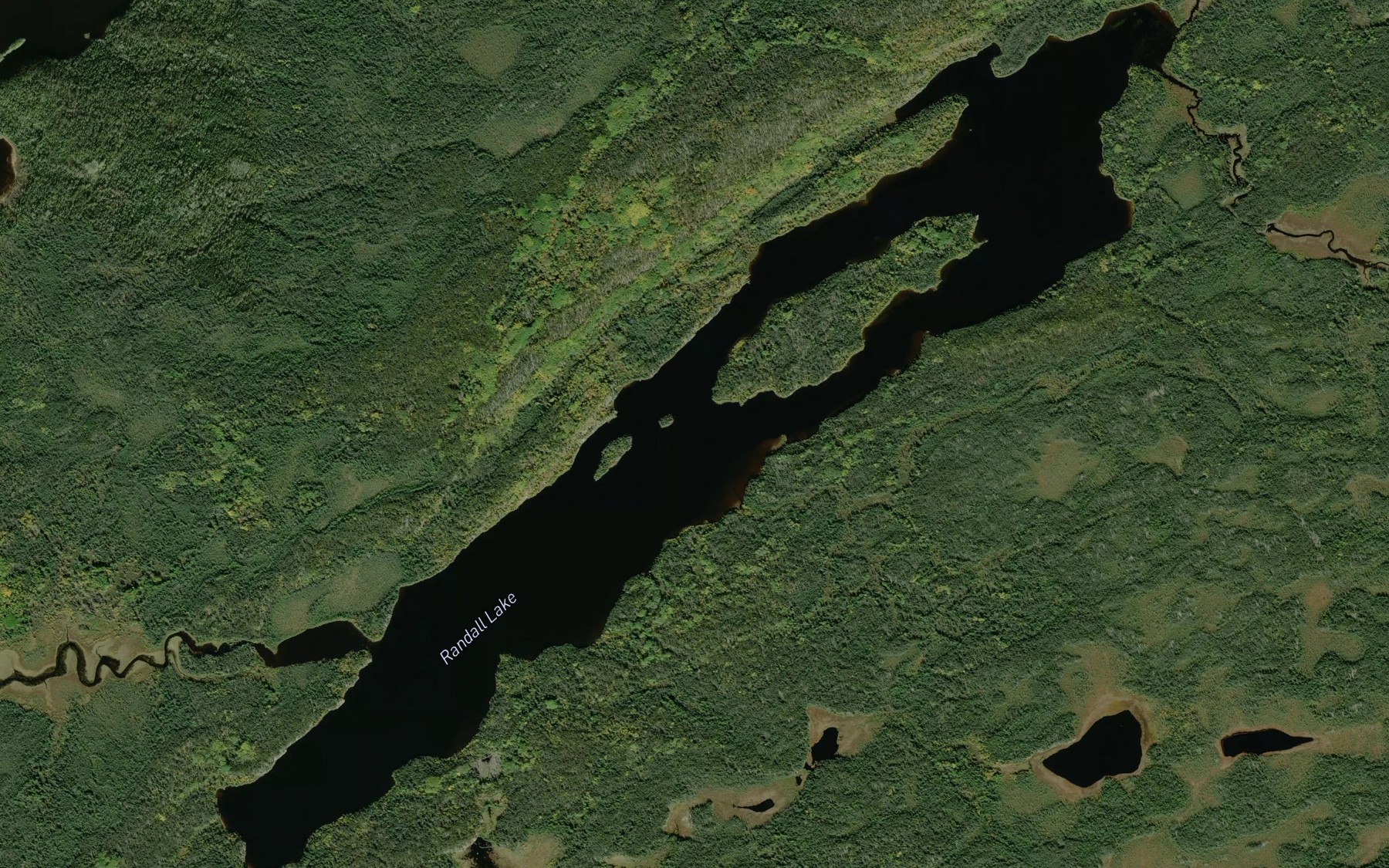 Satellite map of the Randall Lake