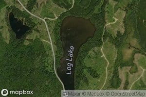 Log Lake