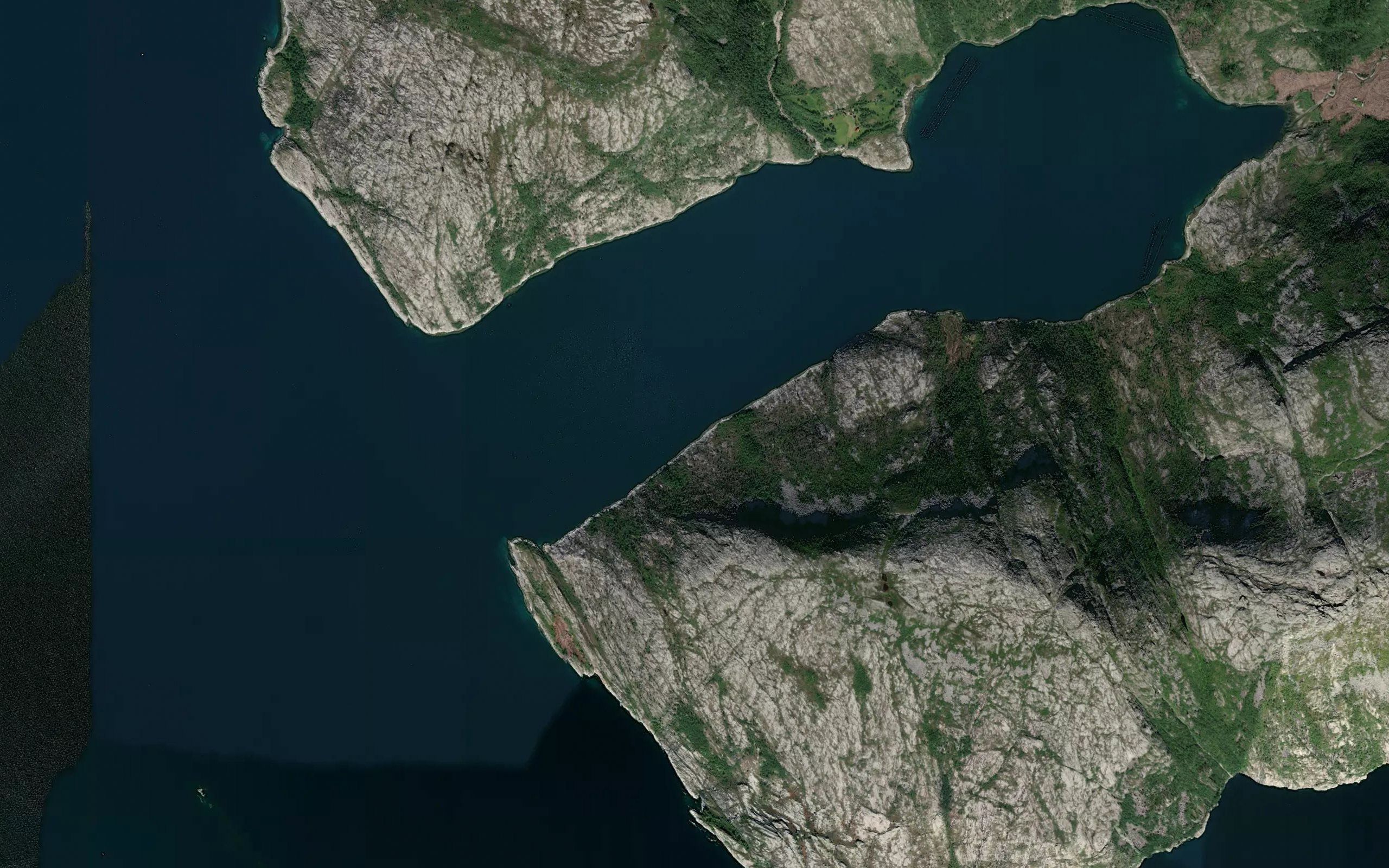 Skogvika