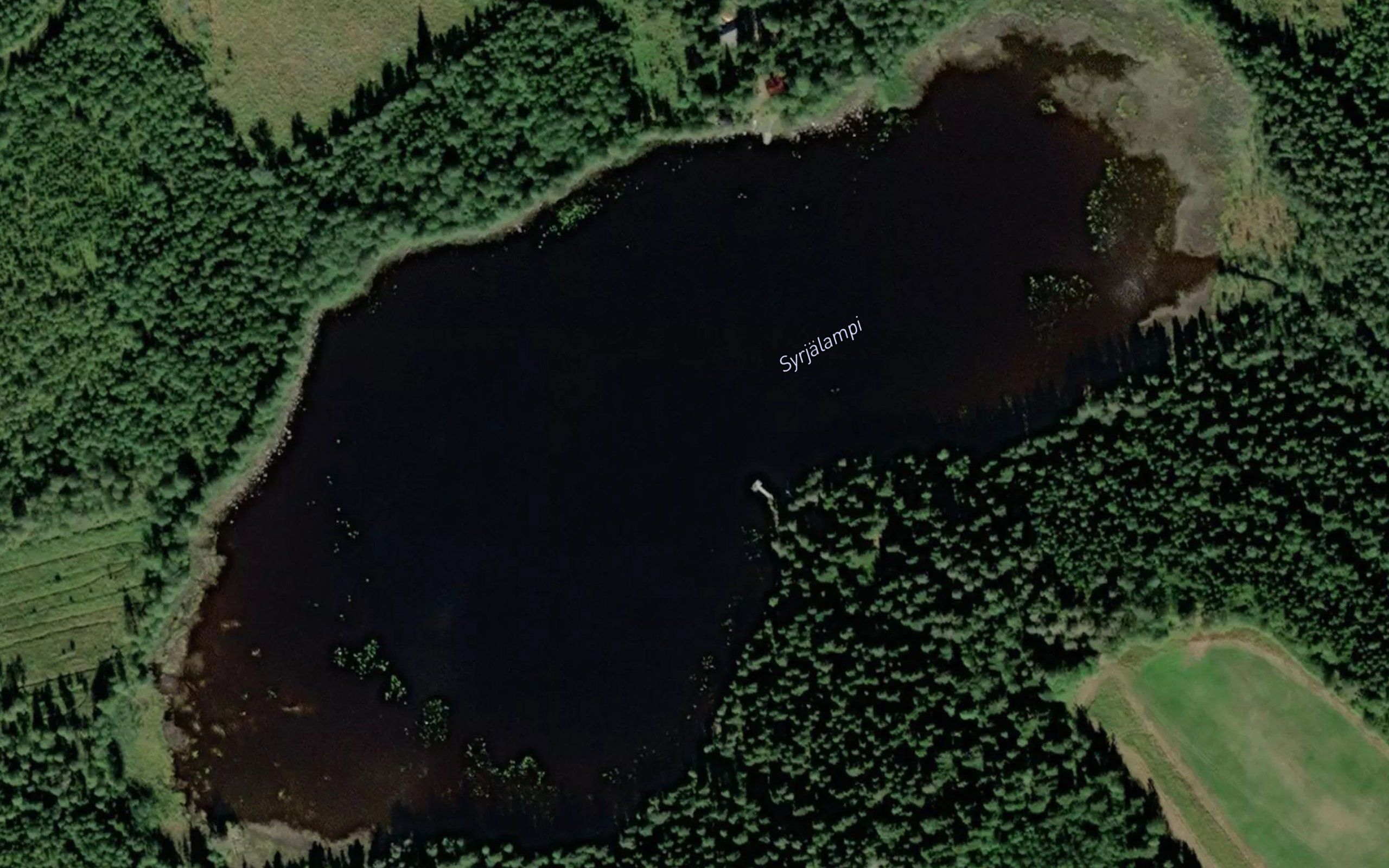 Syrjalampi