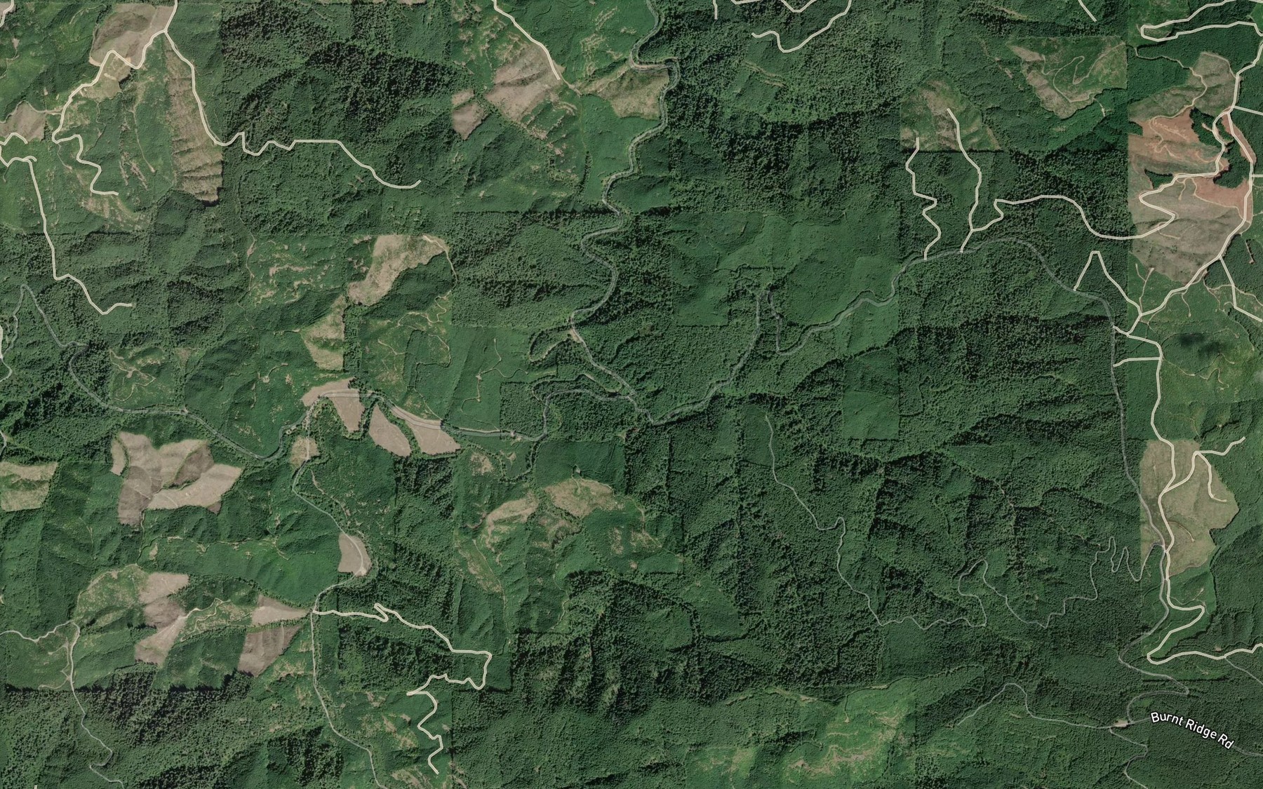 Satellite map of the Burnt Creek