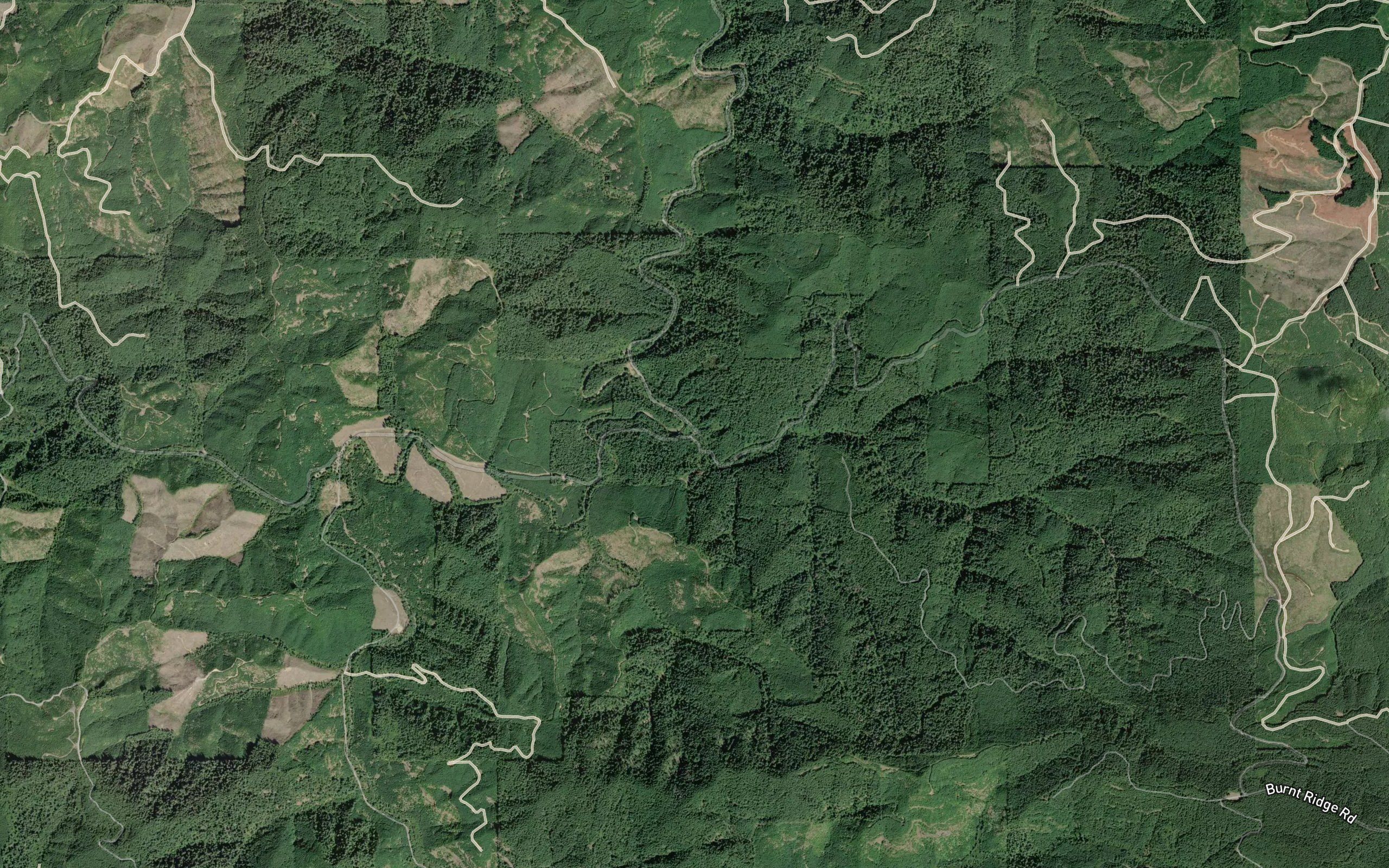 Burnt Creek
