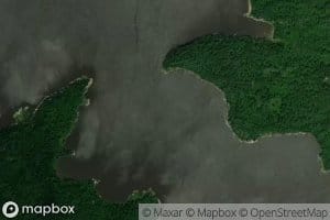 Oxalis Bay
