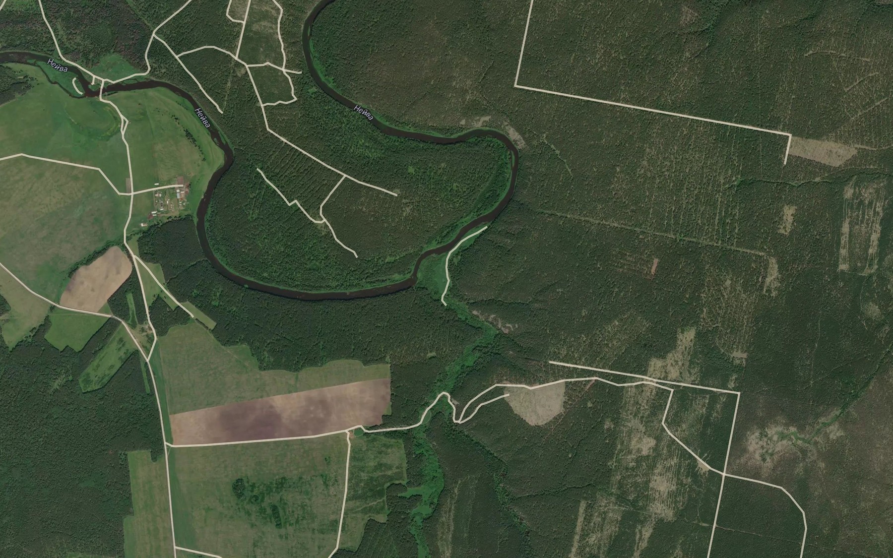 Satellite map of the Bol'shaya Lenevka
