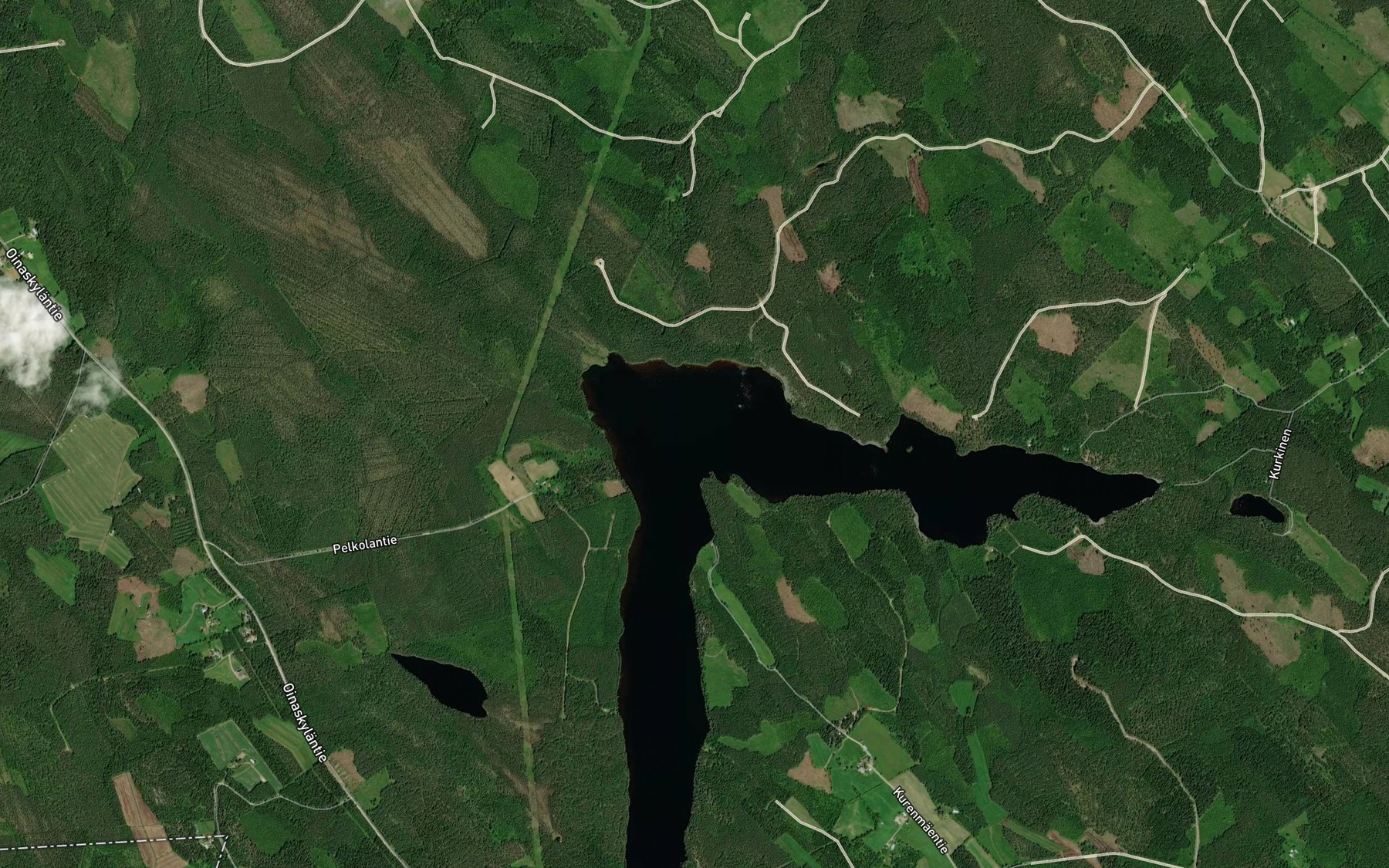 Satellite map of the Kurjenjarvi