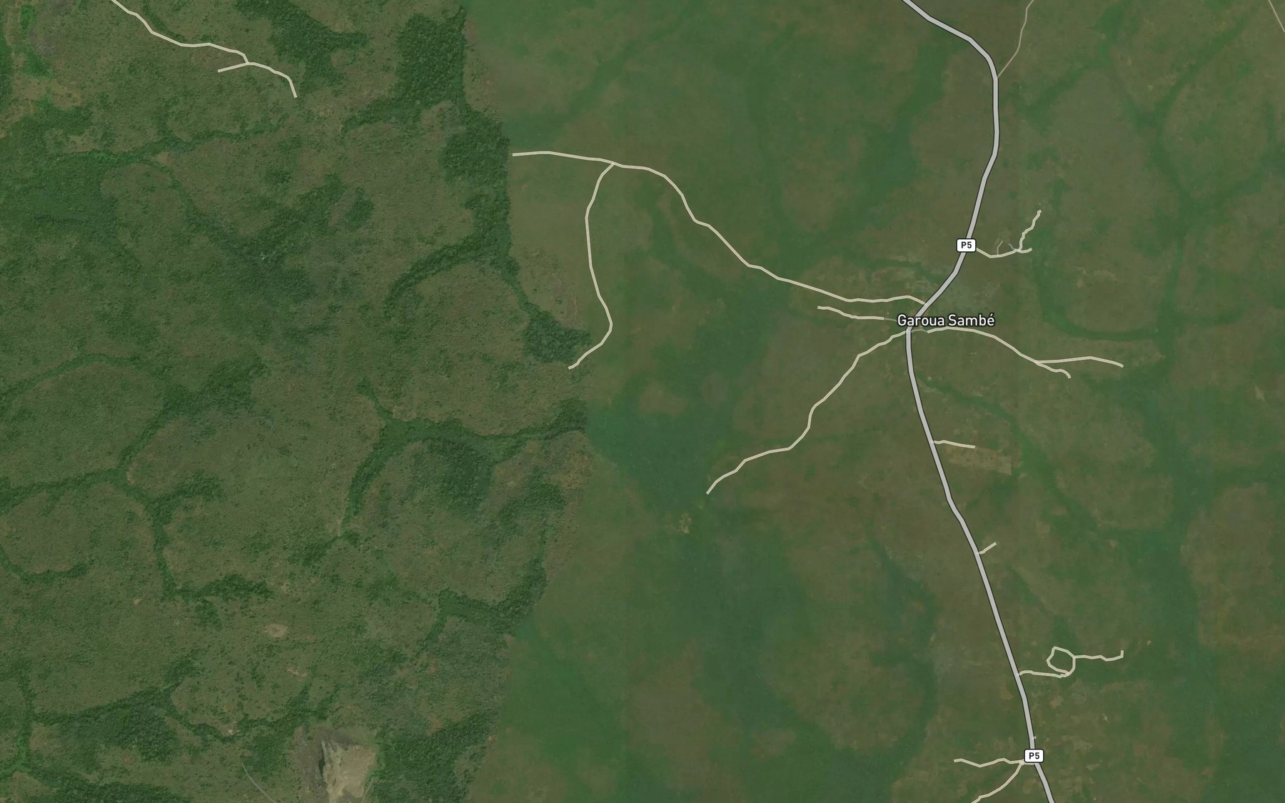 Satellite map of the Dimiri