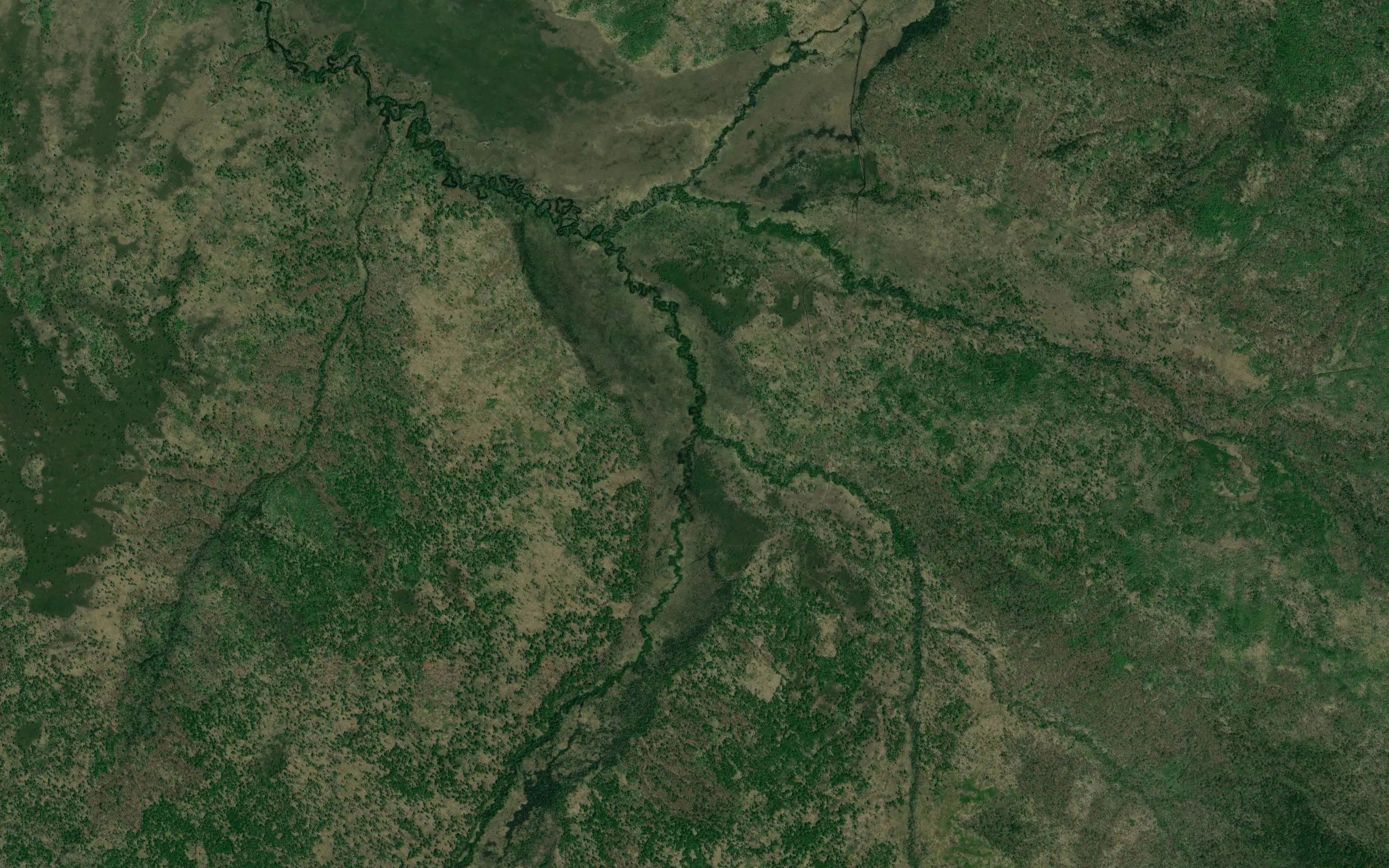 Darka Pervaya
