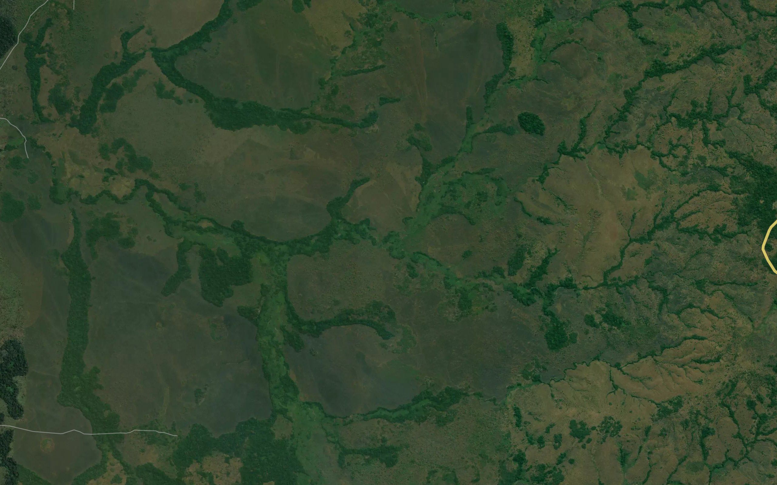 Ifula