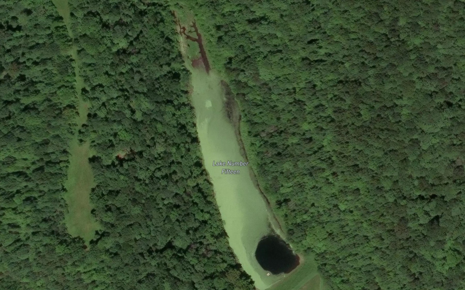 Satellite map of the Lake Number Fifteen