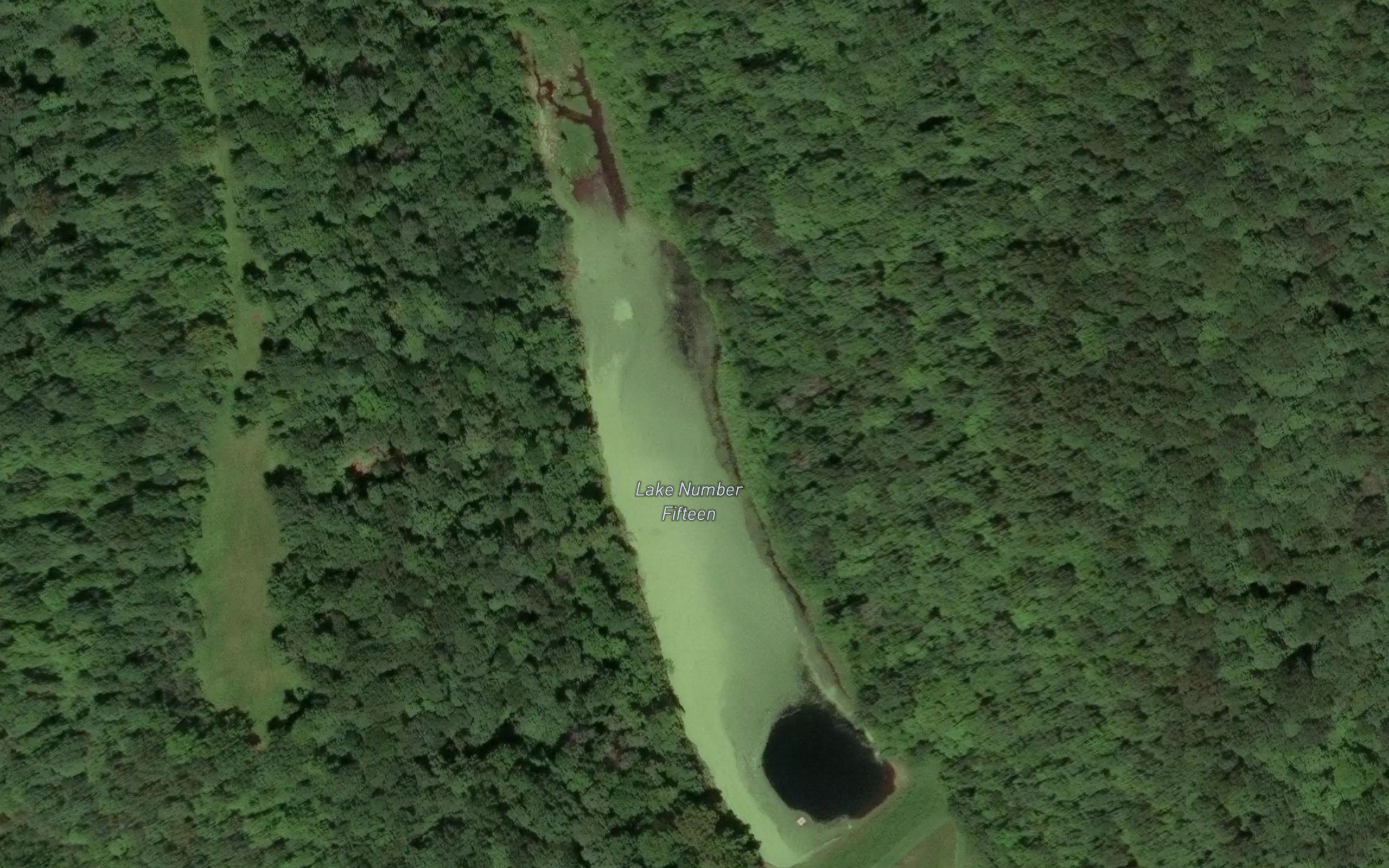 Lake Number Fifteen