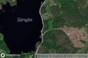 Sorsjon