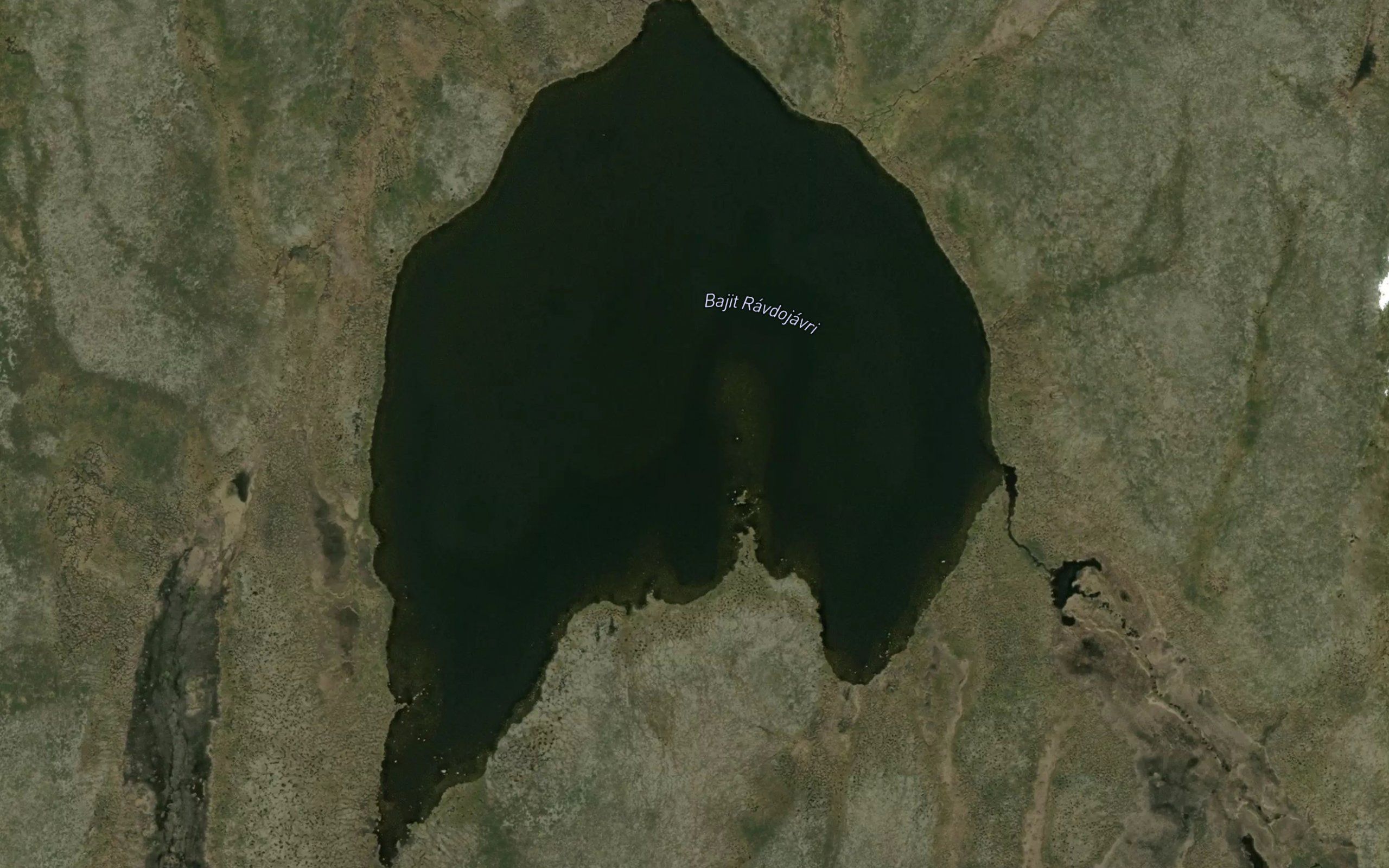 Ravdujavri,bajit