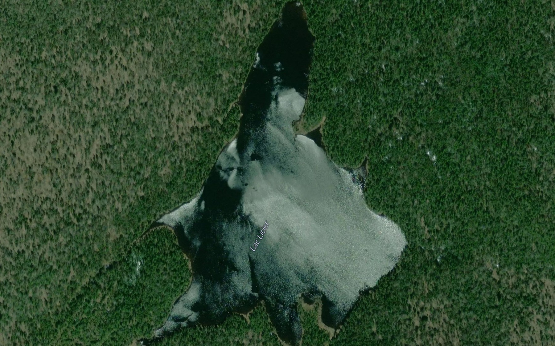 Satellite map of the Lac Licier