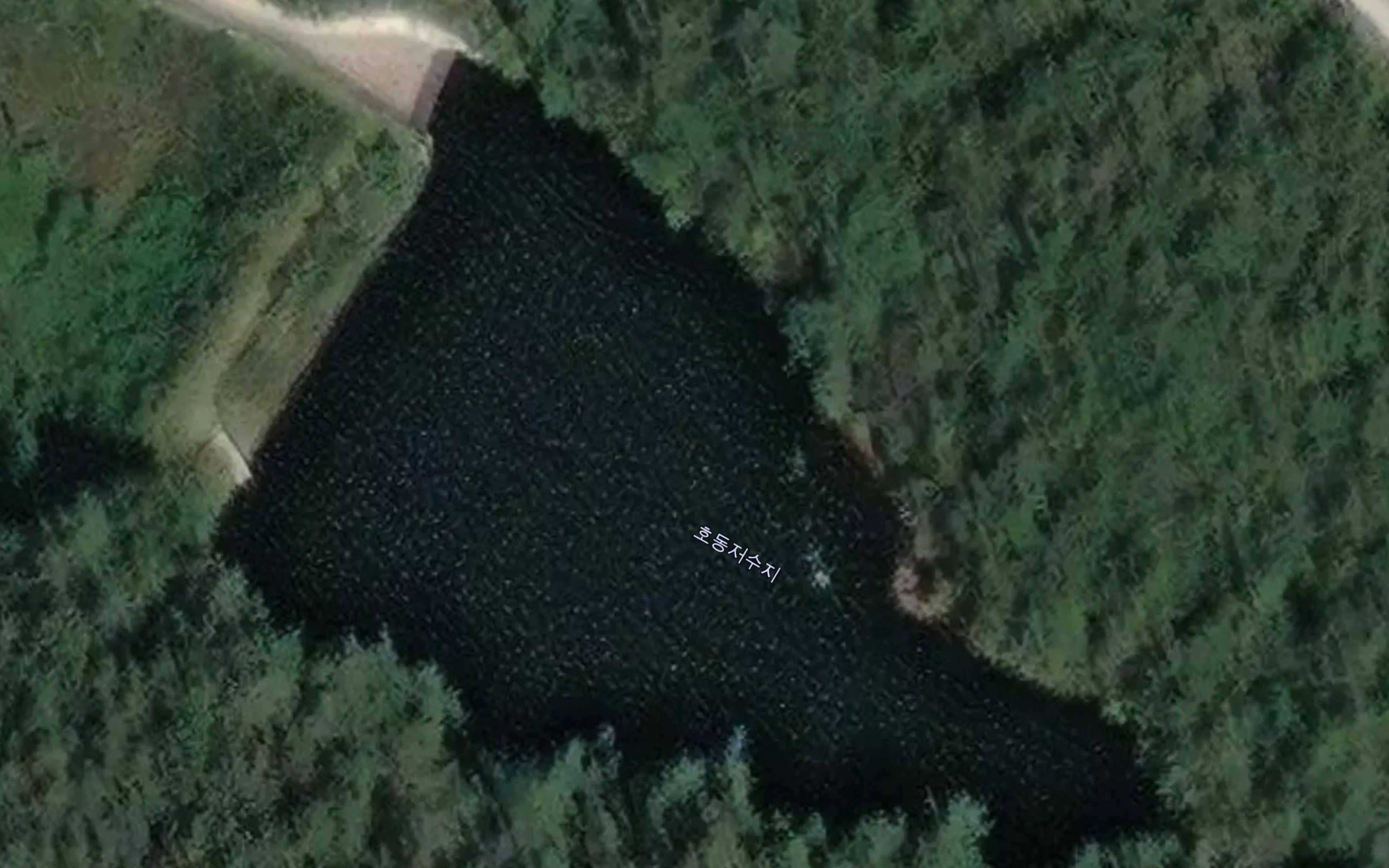 Hodingje