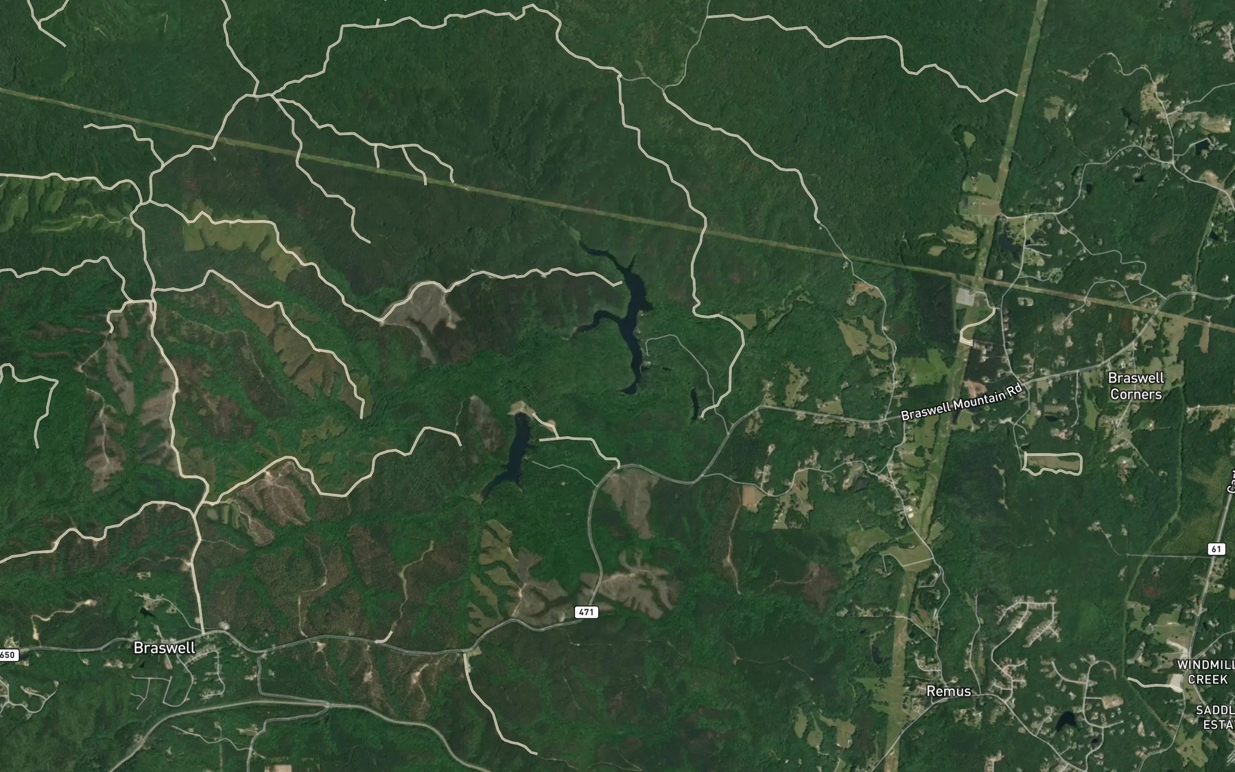 Satellite map of the Left Prong Pegamore Creek