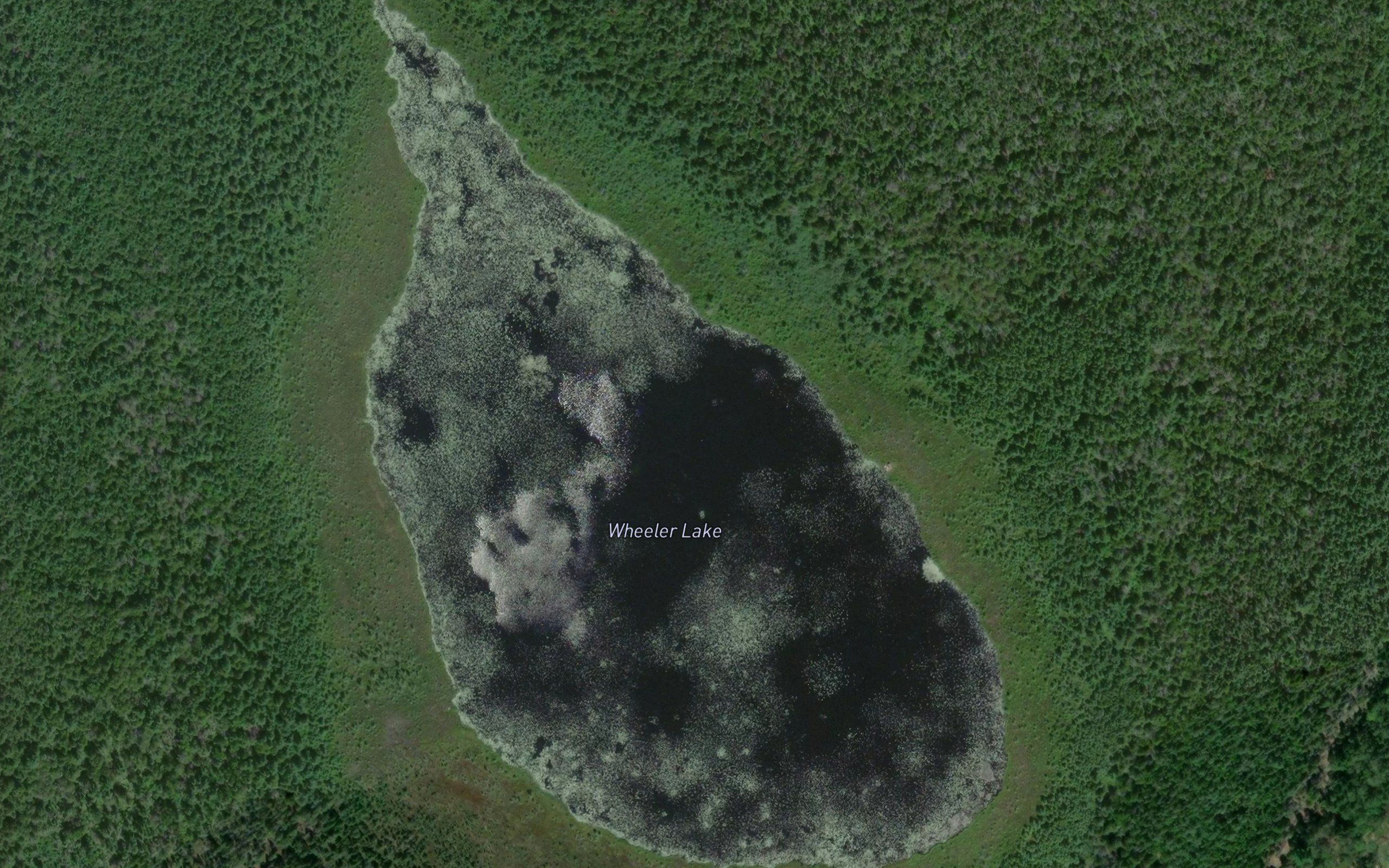 Wheeler Lake