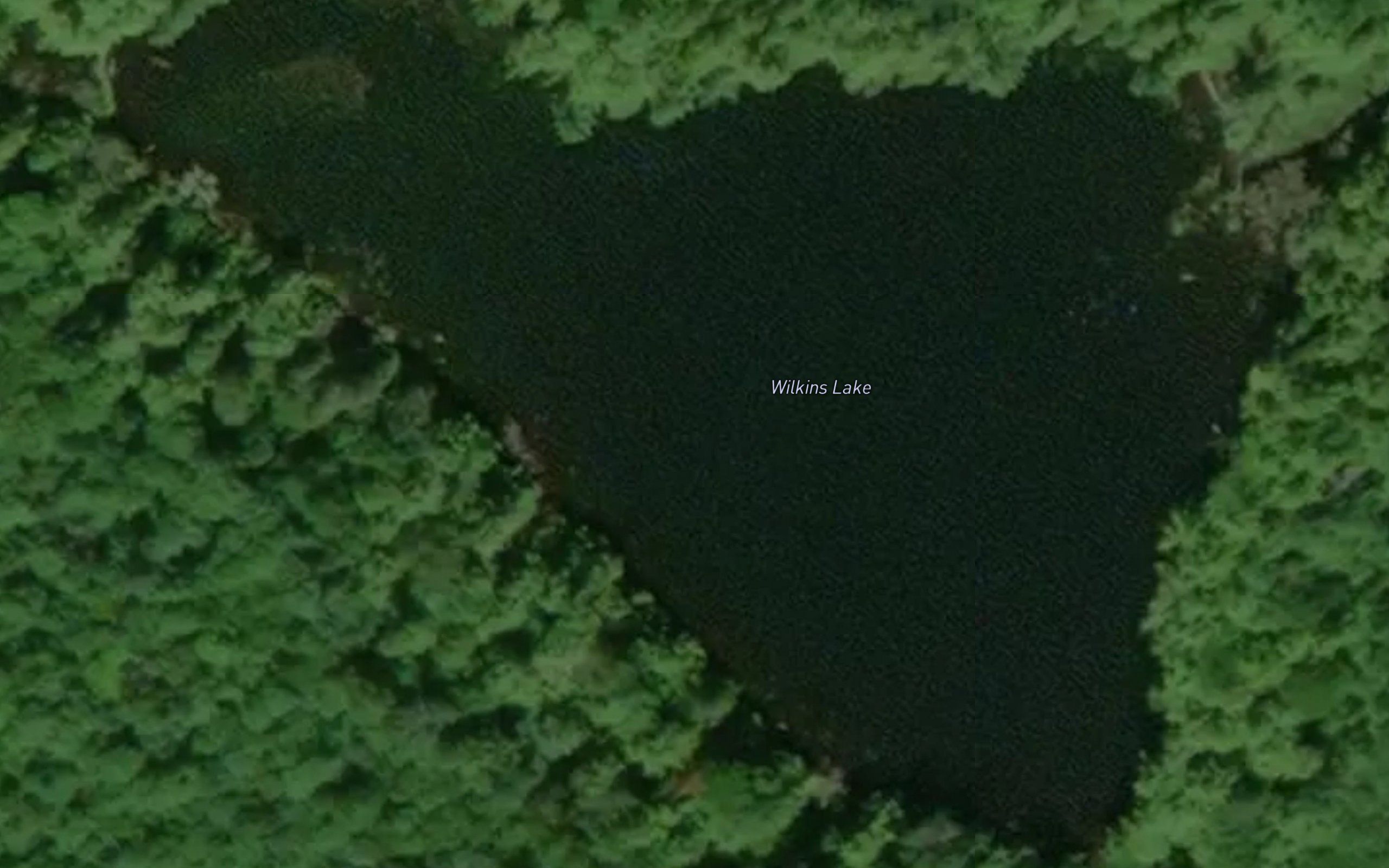 Wilkins Lake