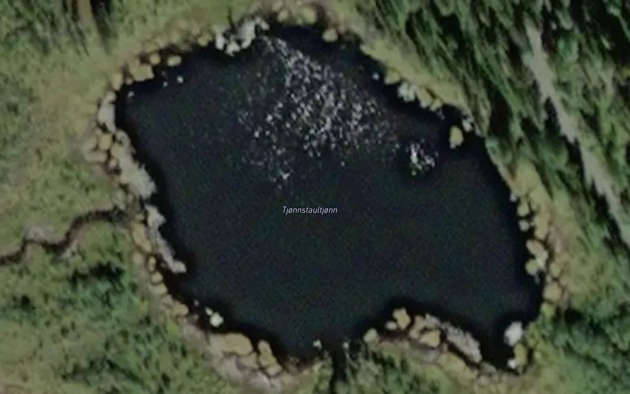 Tjornstaultjorni