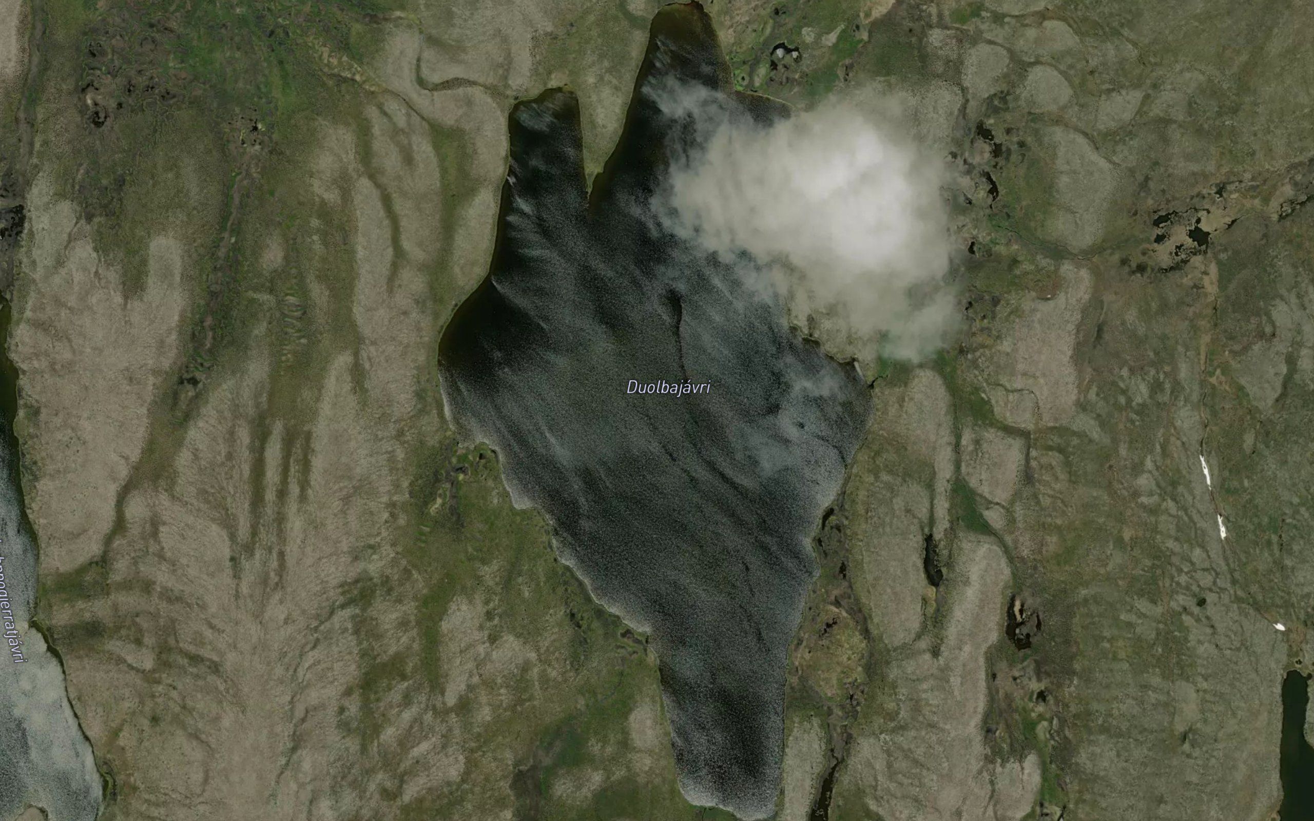 Duolbajavri