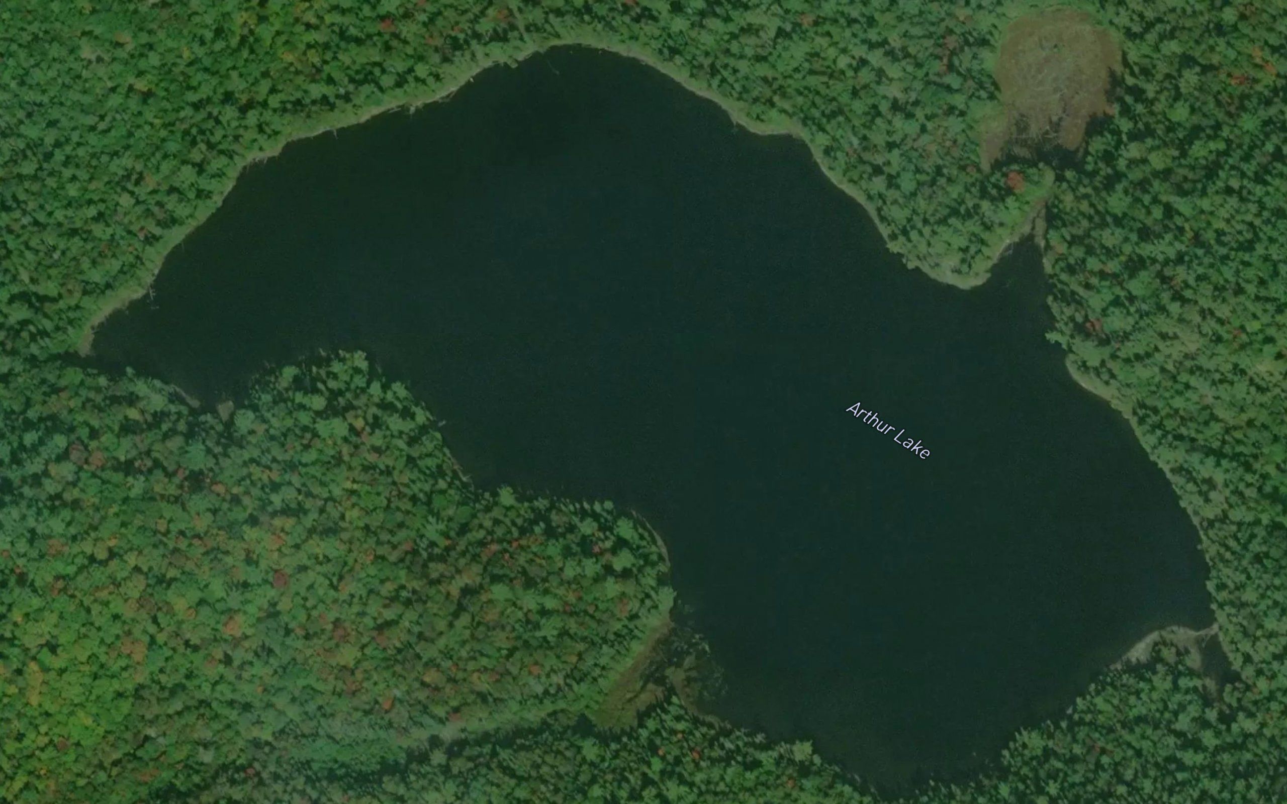 Arthur Lake