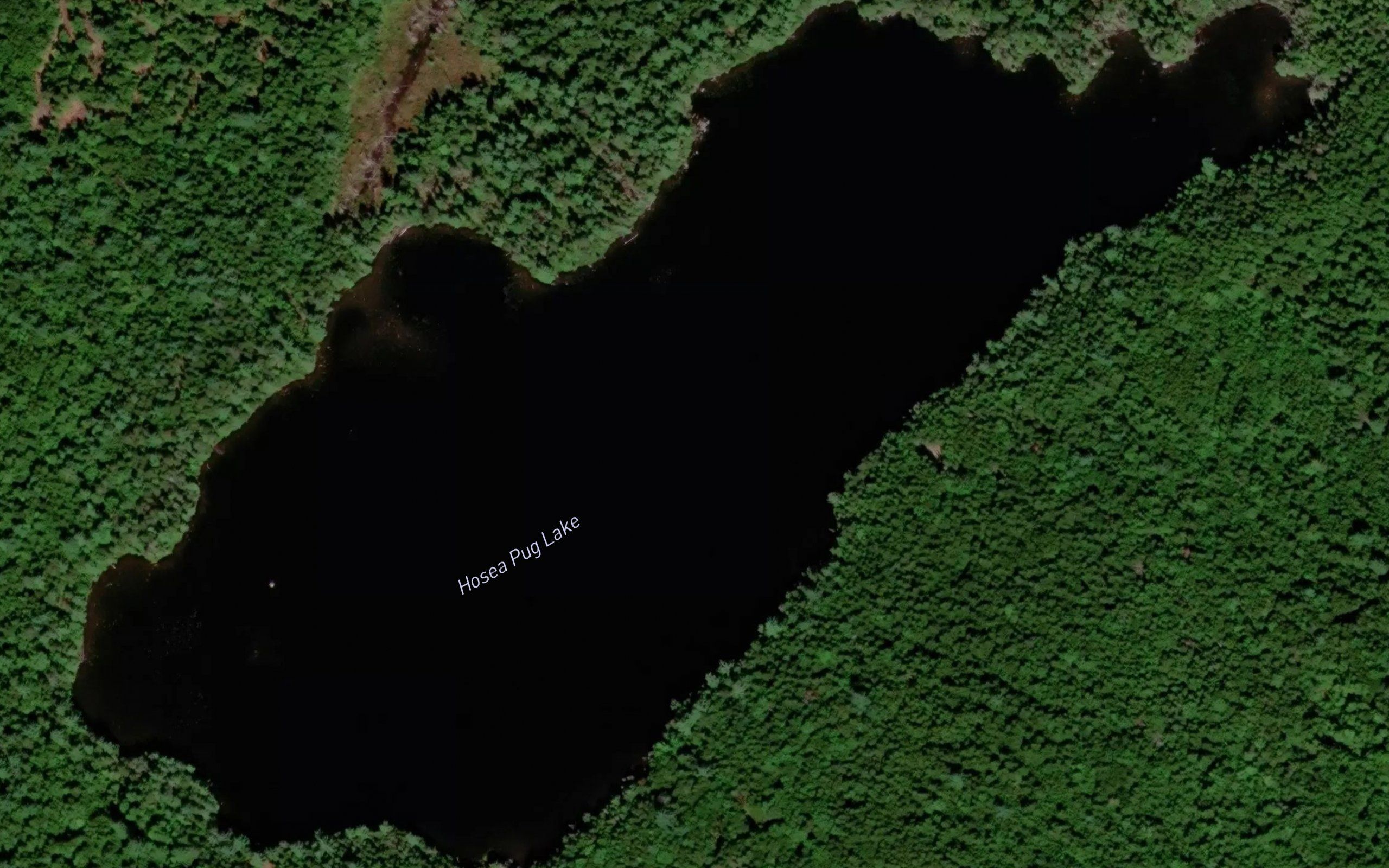 Hosea Pug Lake