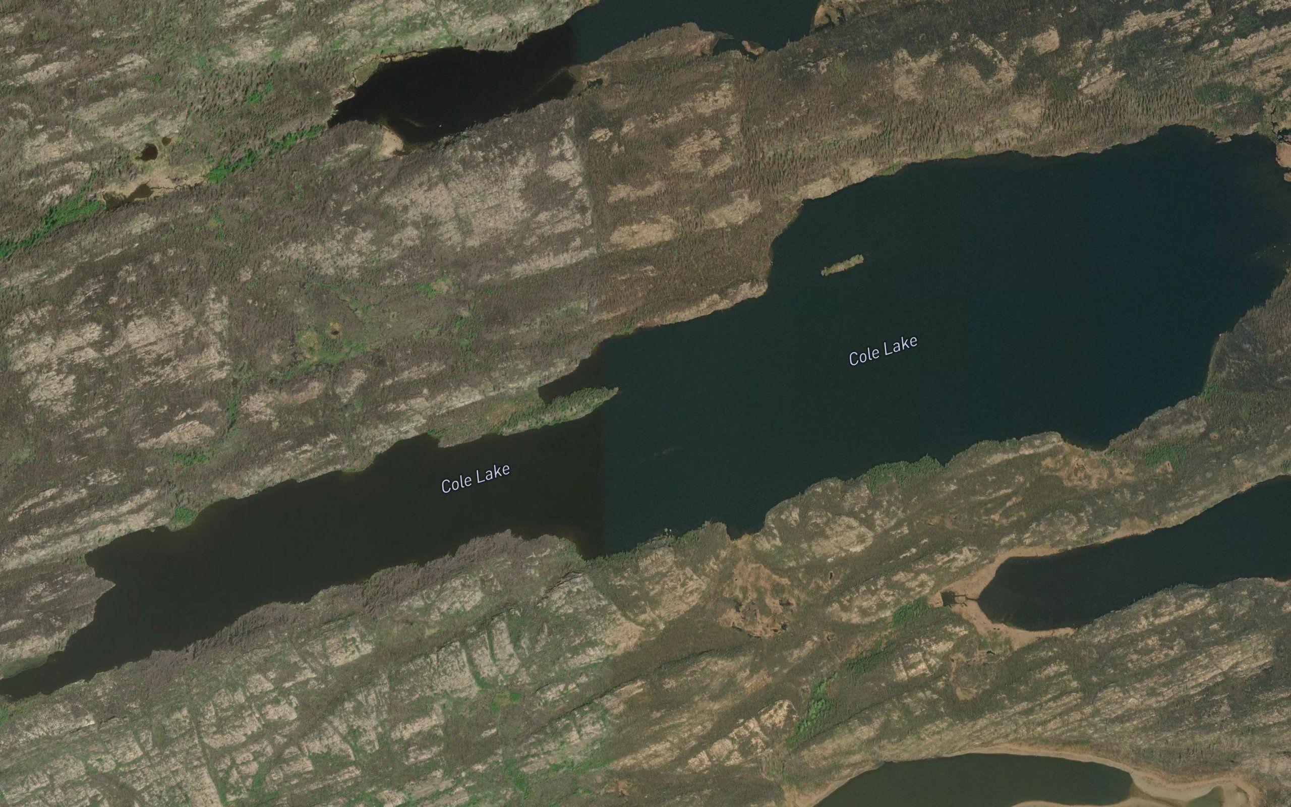 Cole Lake