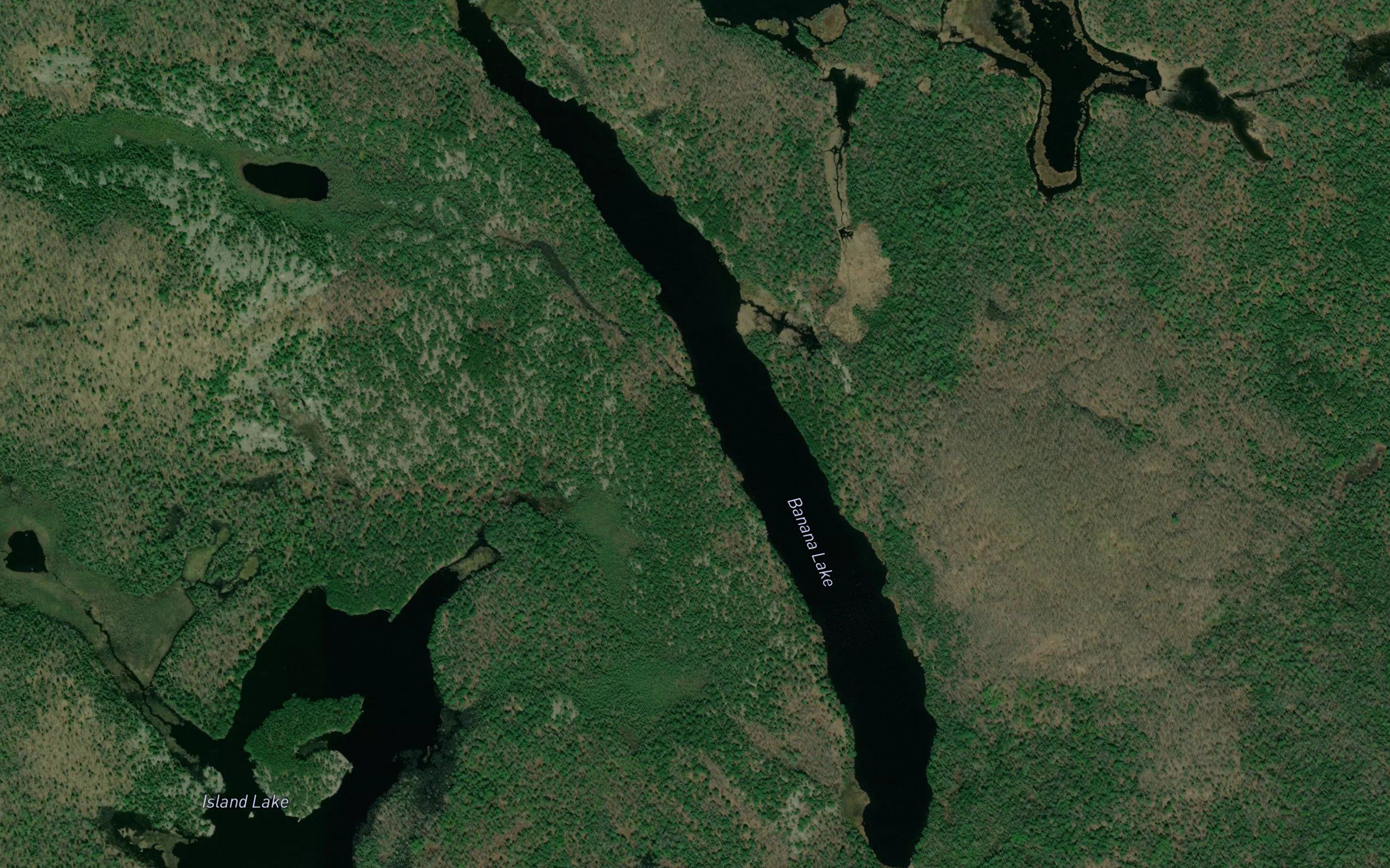 Banana Lake