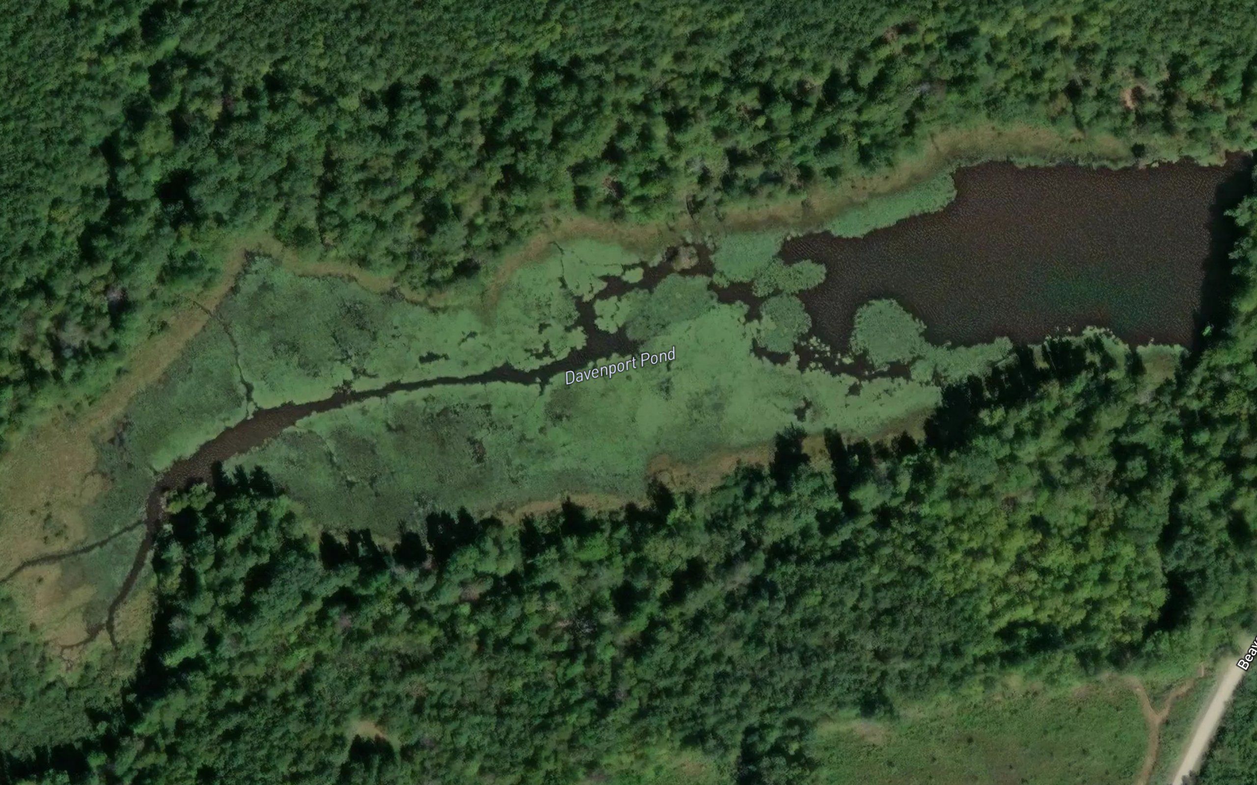 Davenport Pond