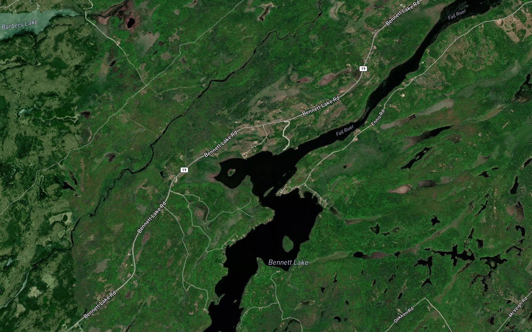 Satellite map of the Bartlett Bay