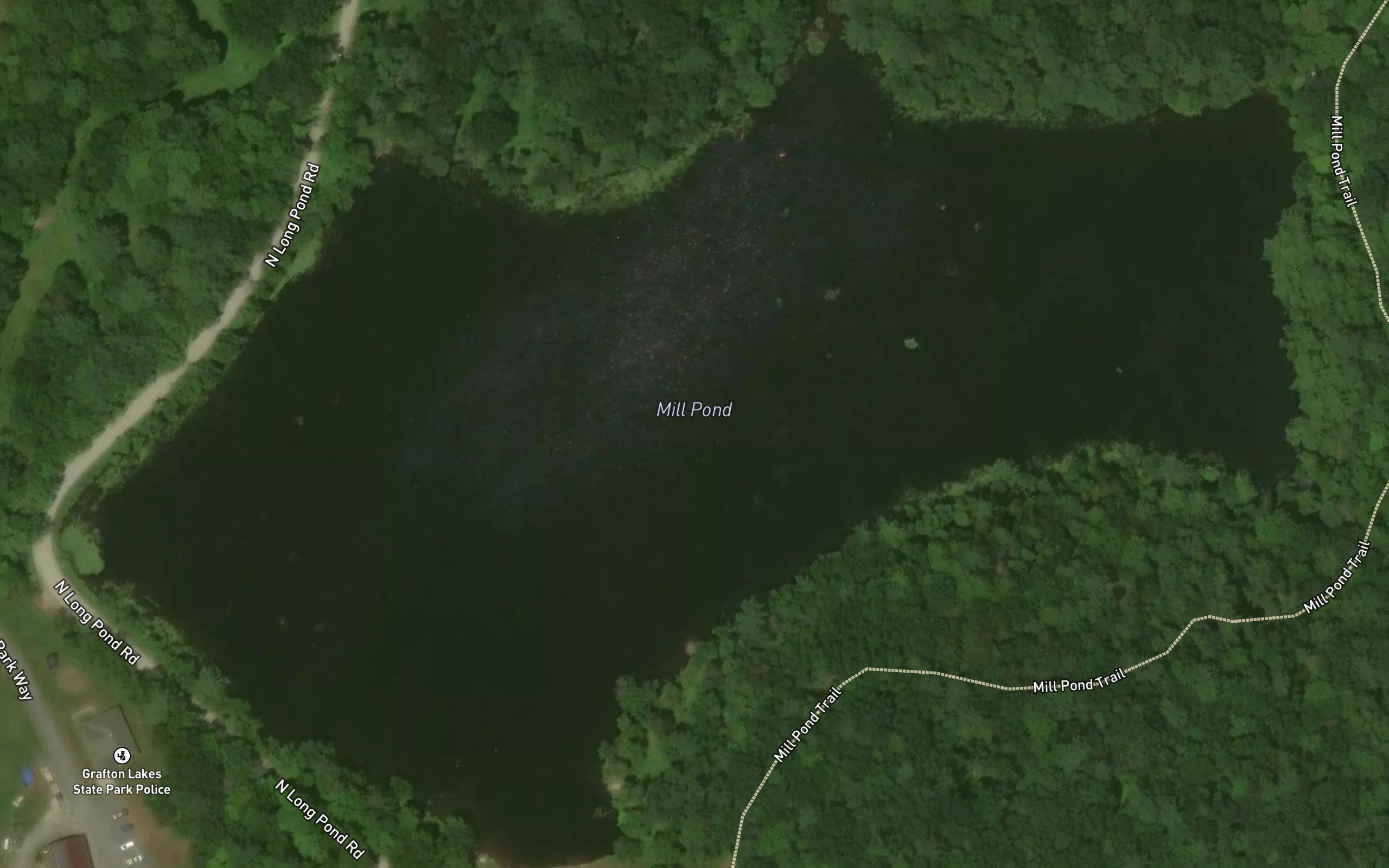 Mill Pond