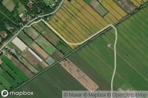 Branche Vetere-Levasseur