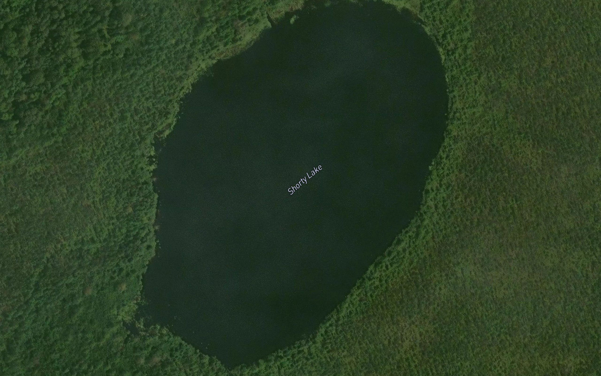 Shorty Lake