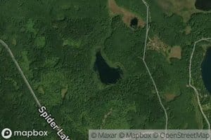Beaver Lake