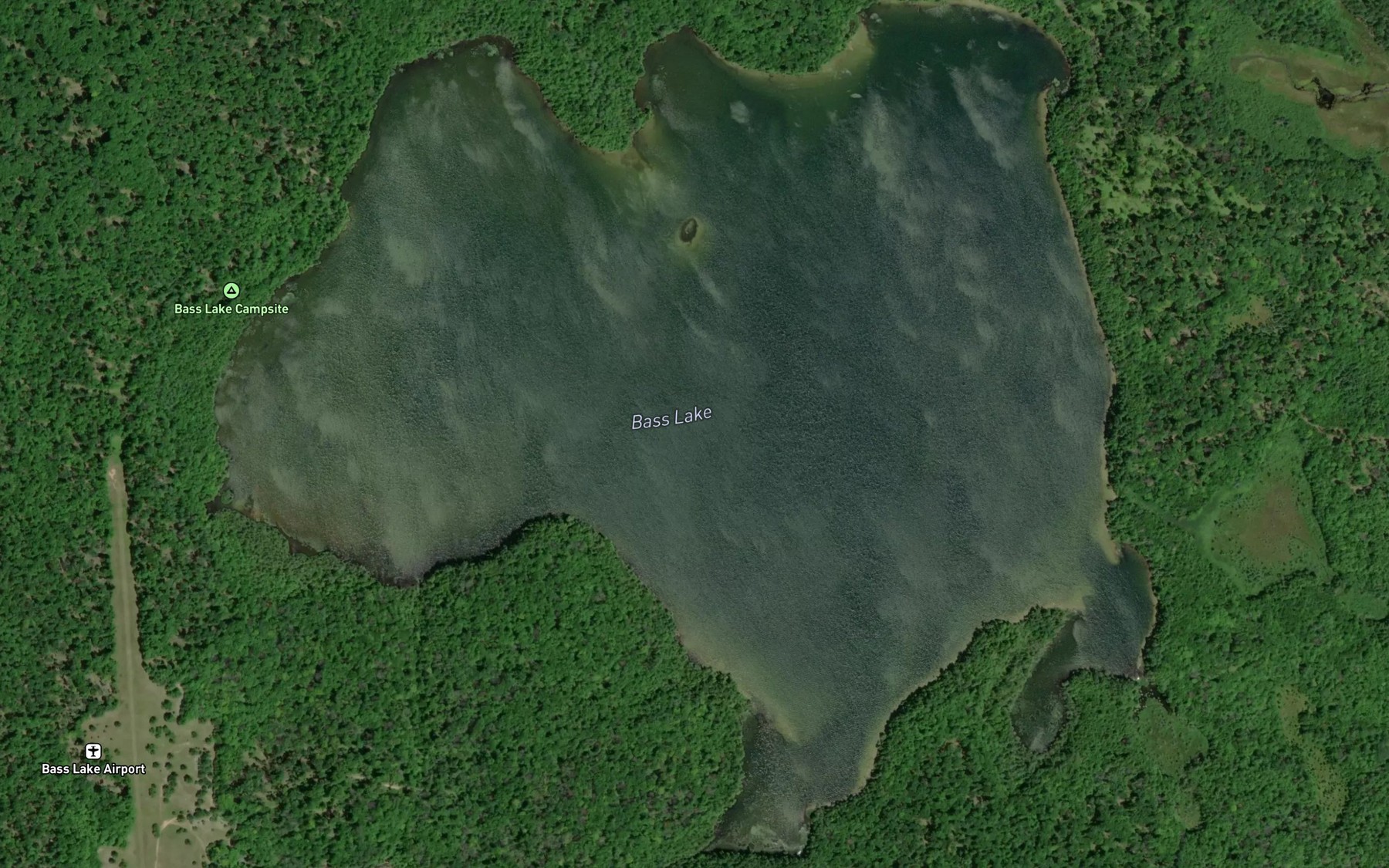 Satellite map of the Bass Lake