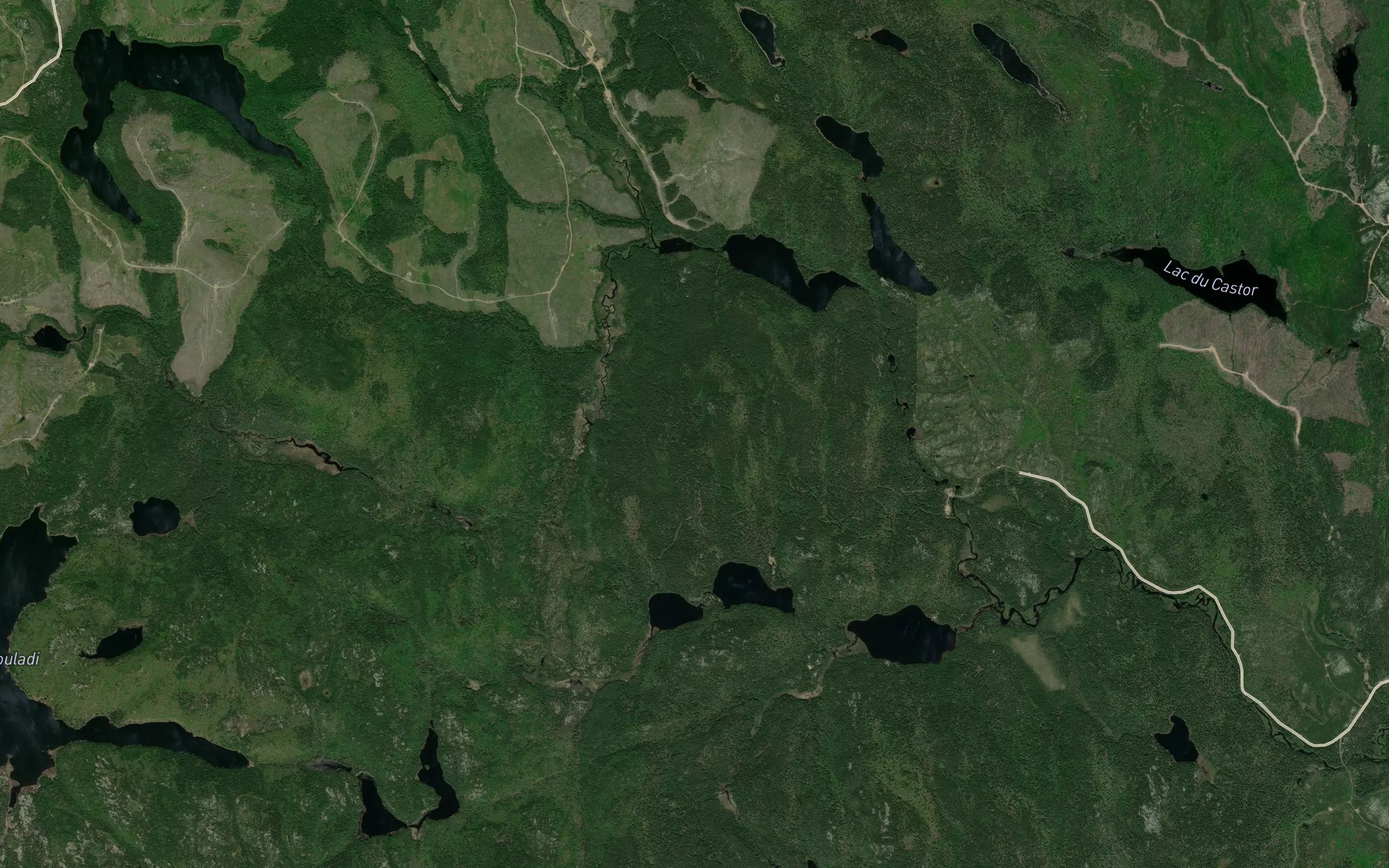 L'Etang