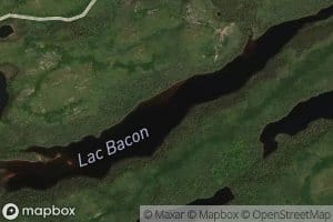 Lac Bacon