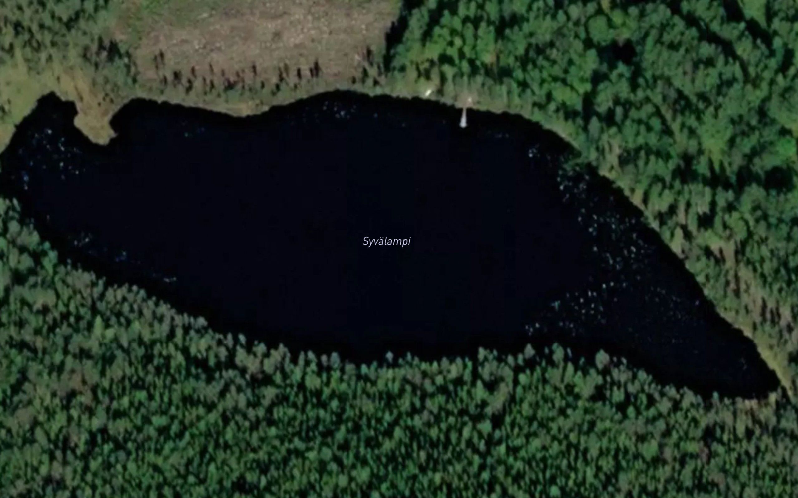 Syvalampi
