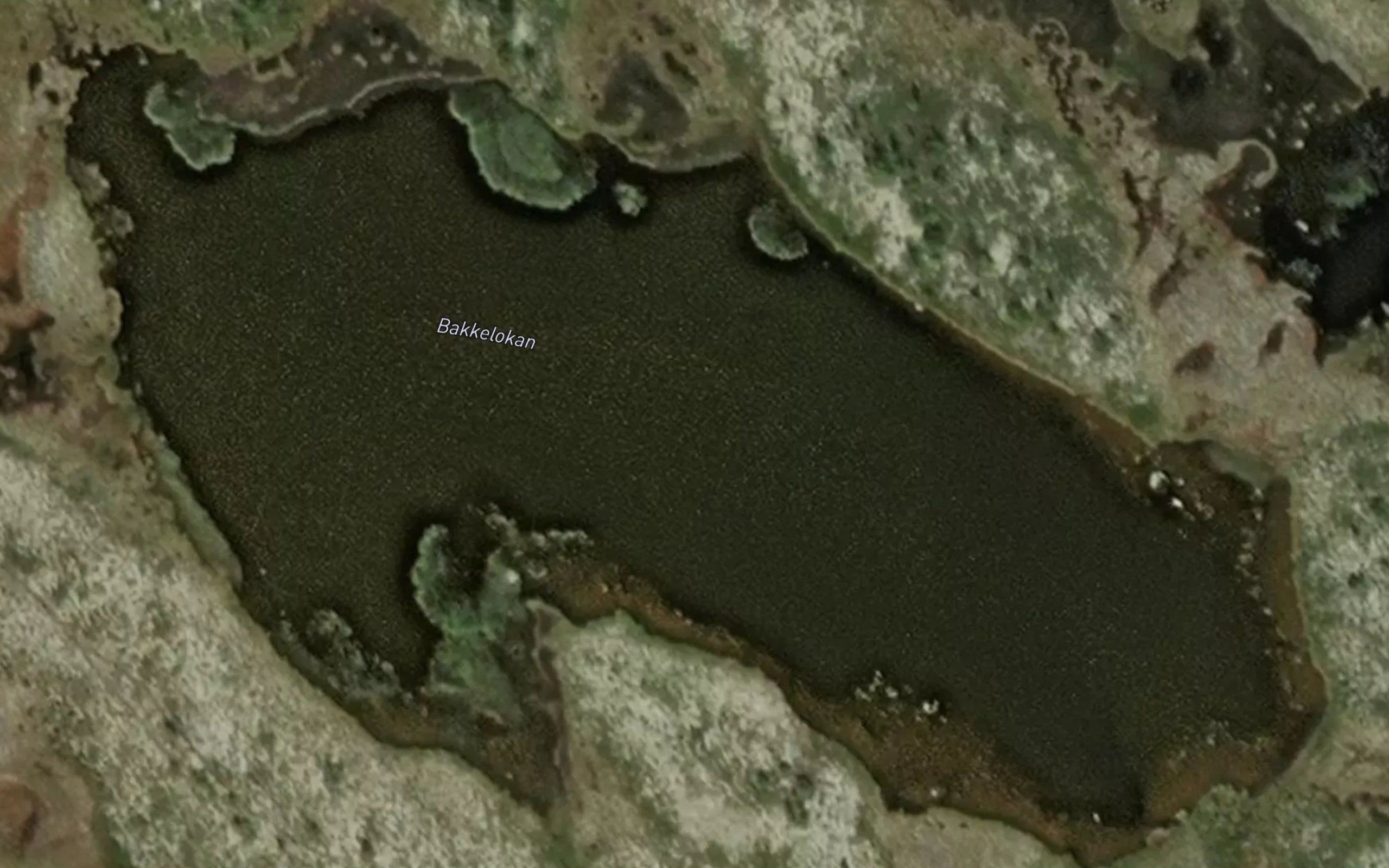Bakkelokan