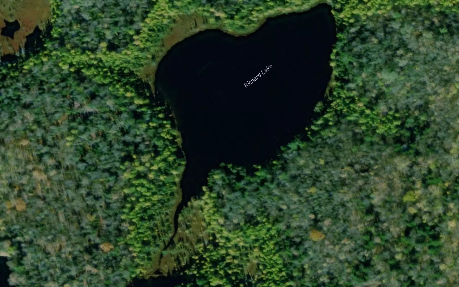 Satellite map of the Richard Lake