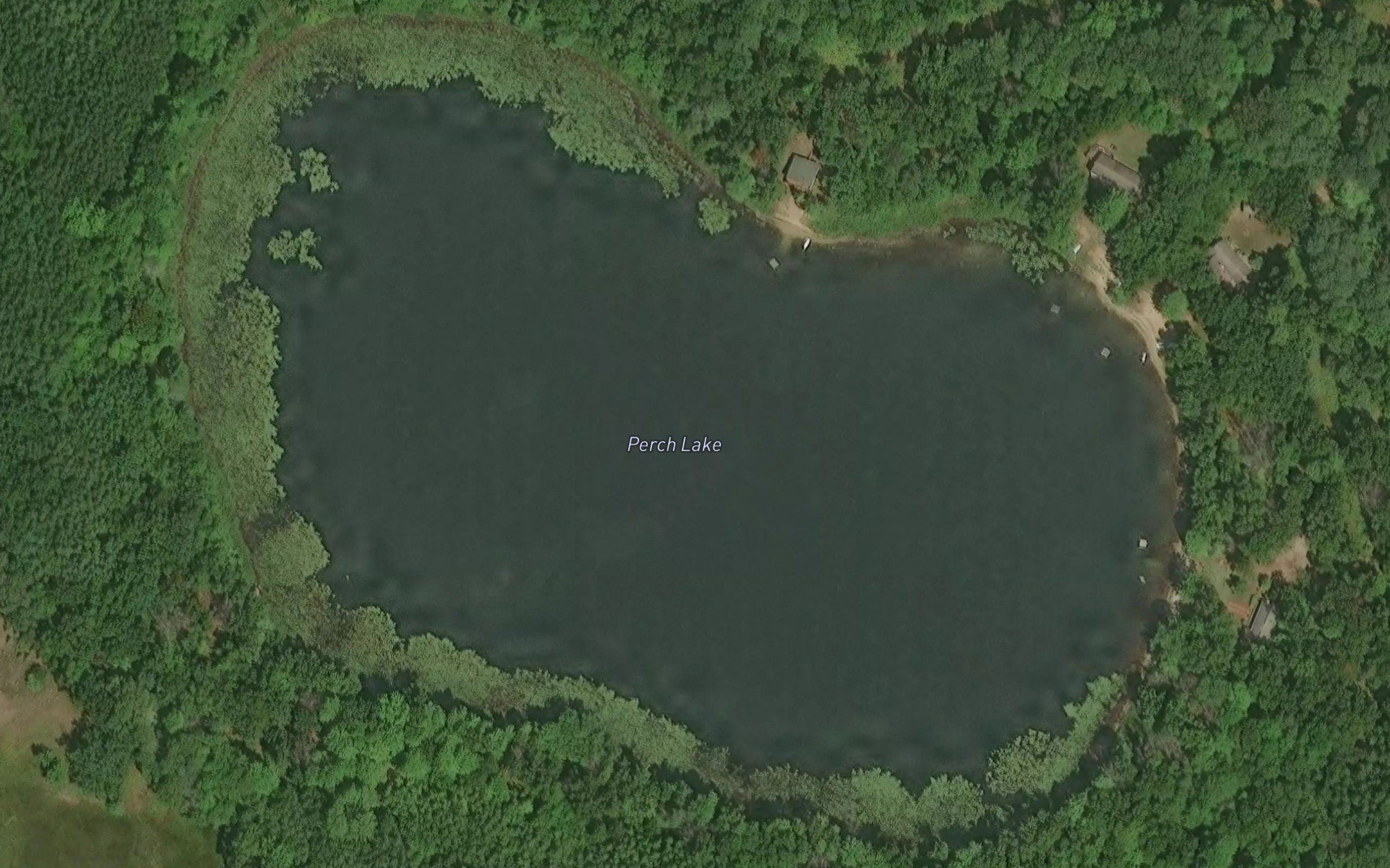 Perch Lake