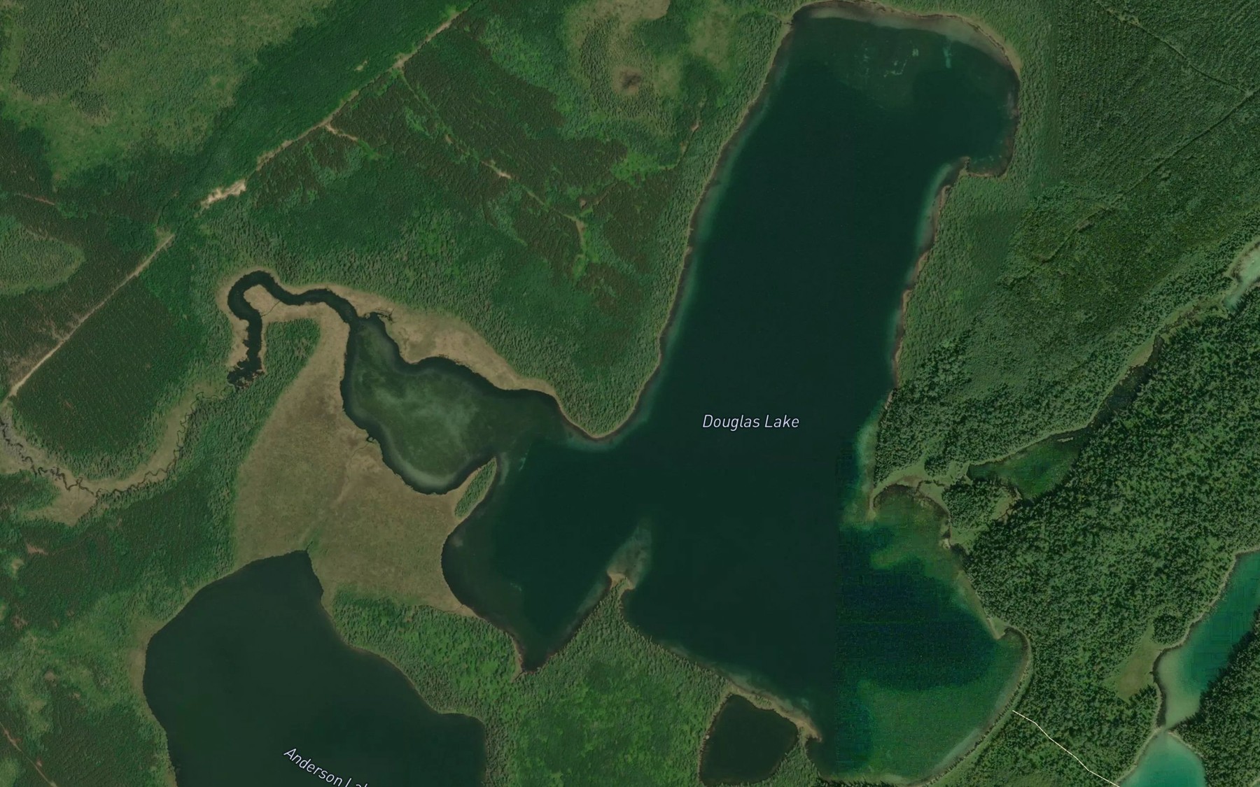 Satellite map of the Douglas Lake