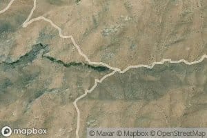 Mustang Spring