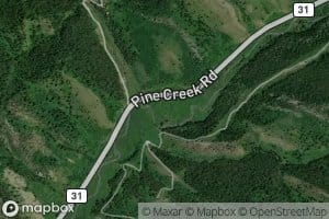 Poison Creek